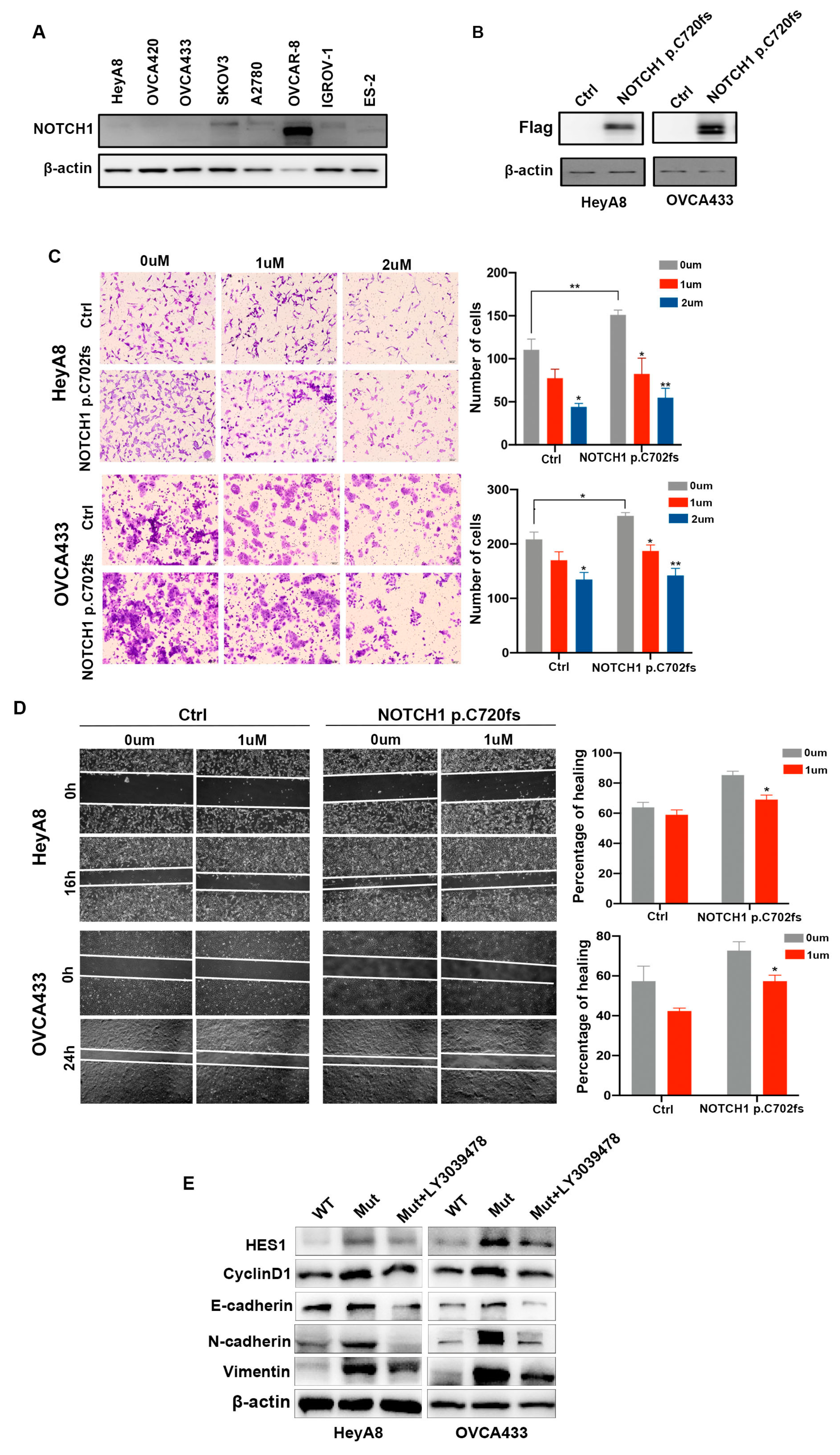 Ijms 24 05091 g002 Ijms 24 05091 g002