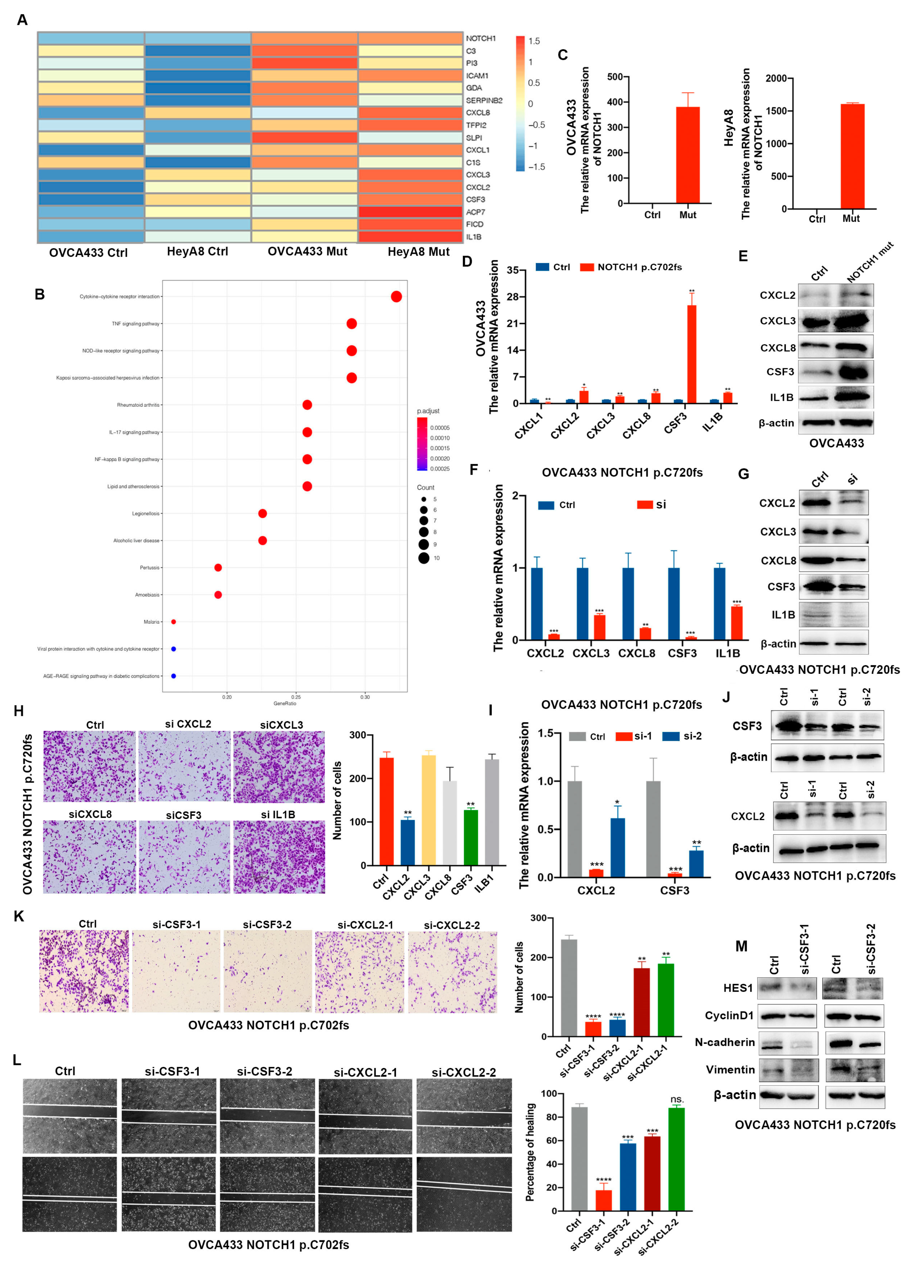 Ijms 24 05091 g003 Ijms 24 05091 g003