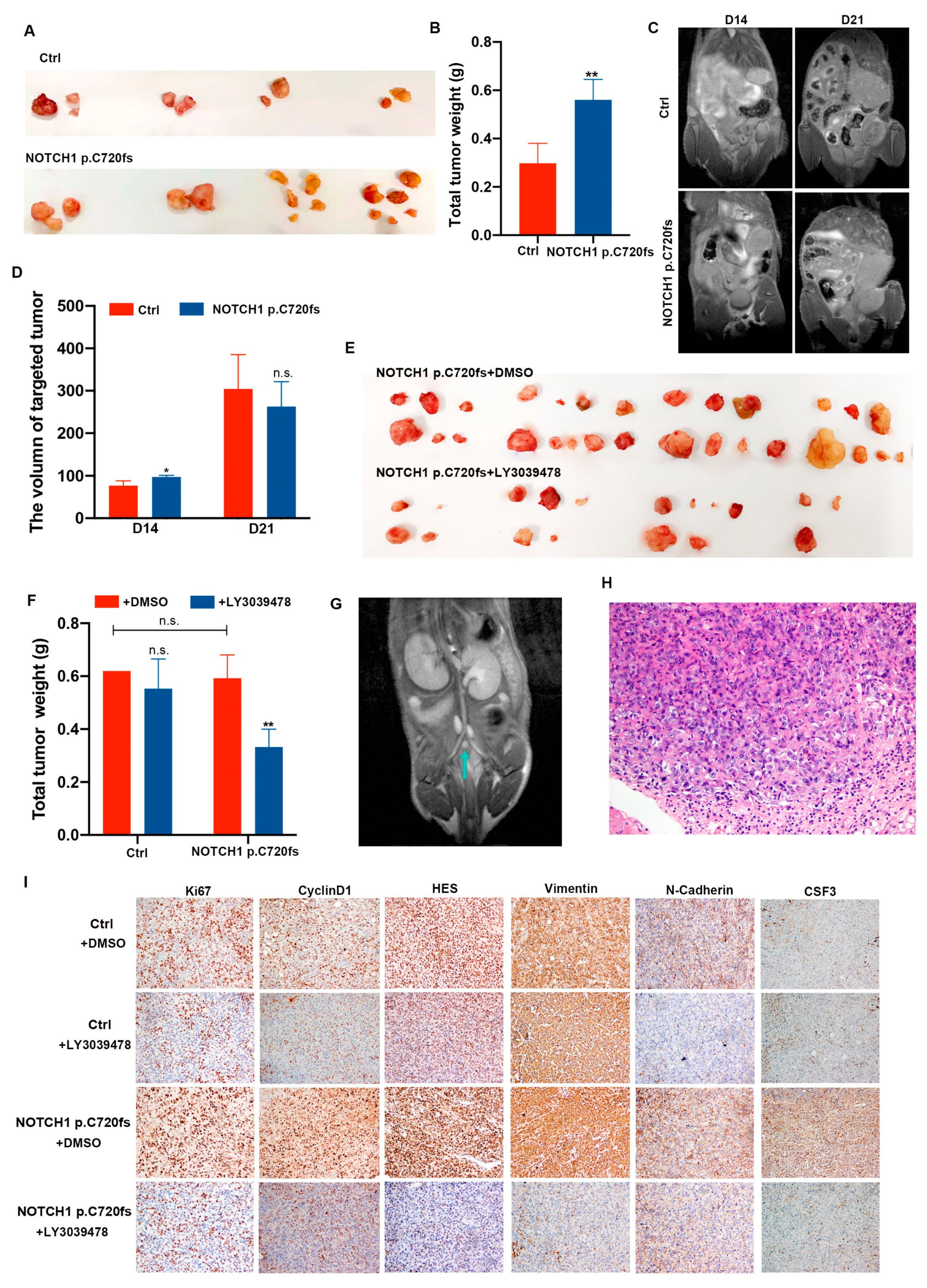 Ijms 24 05091 g004 Ijms 24 05091 g004