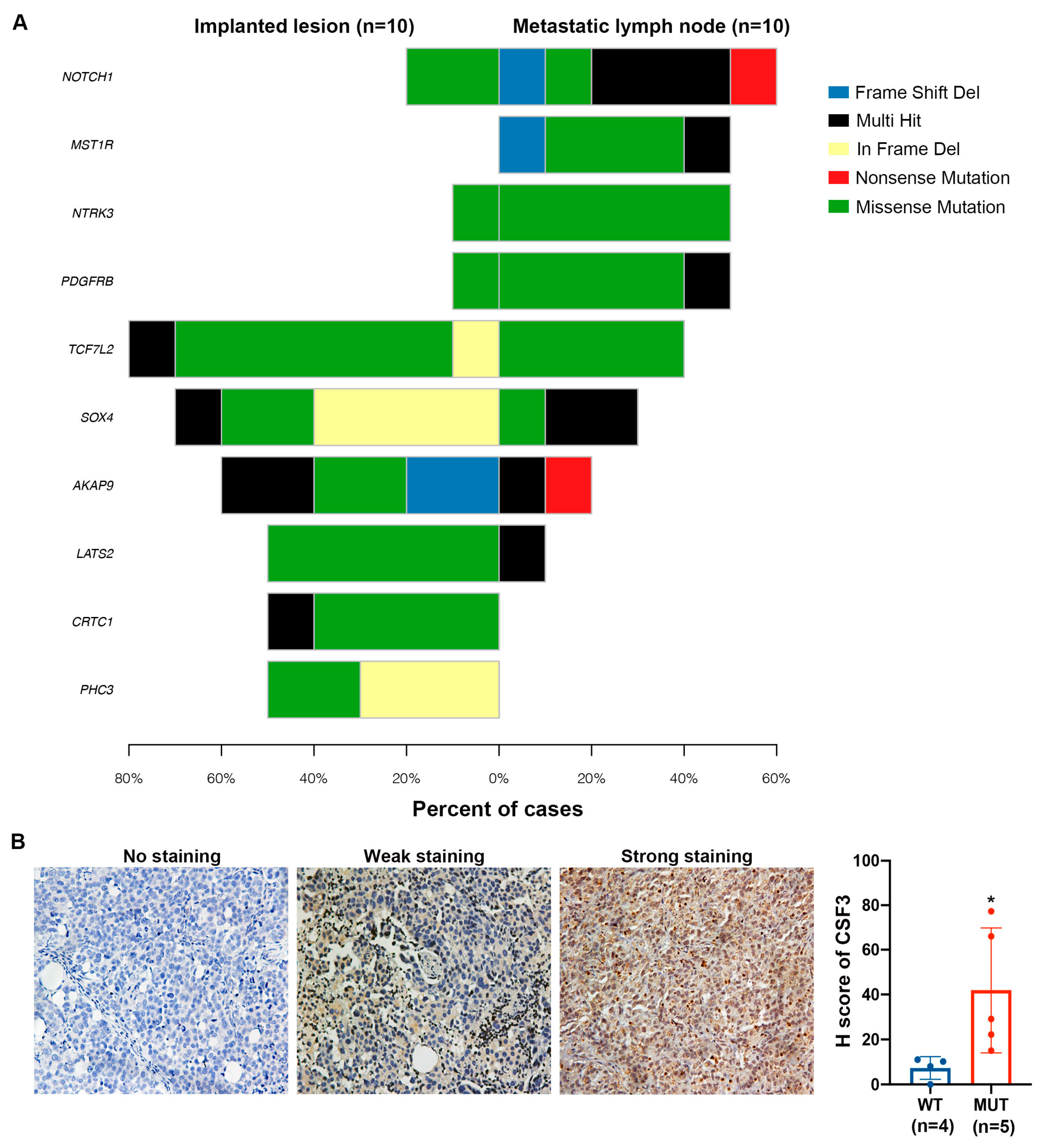 Ijms 24 05091 g005 Ijms 24 05091 g005