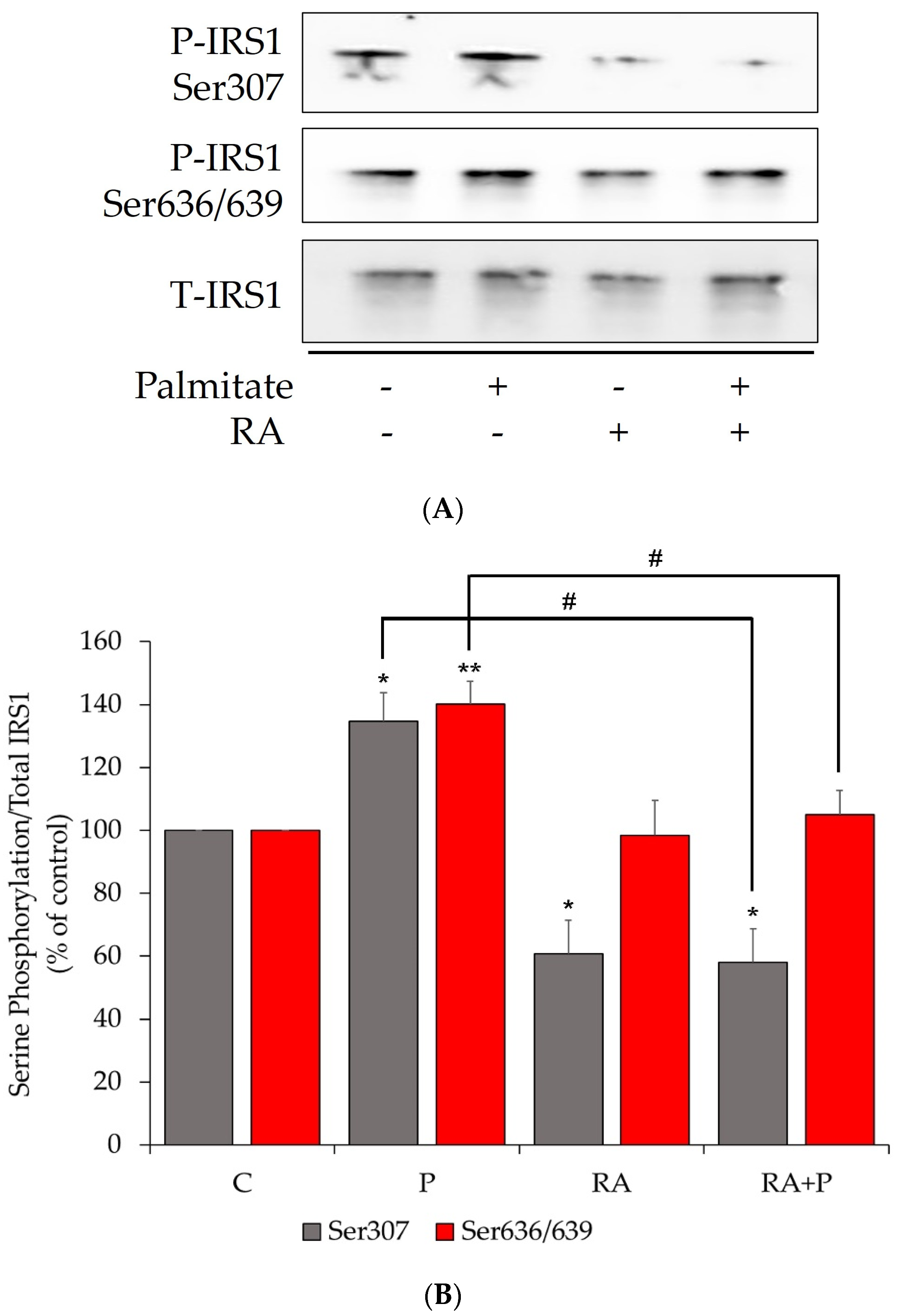 Ijms 24 05094 g001 Ijms 24 05094 g001