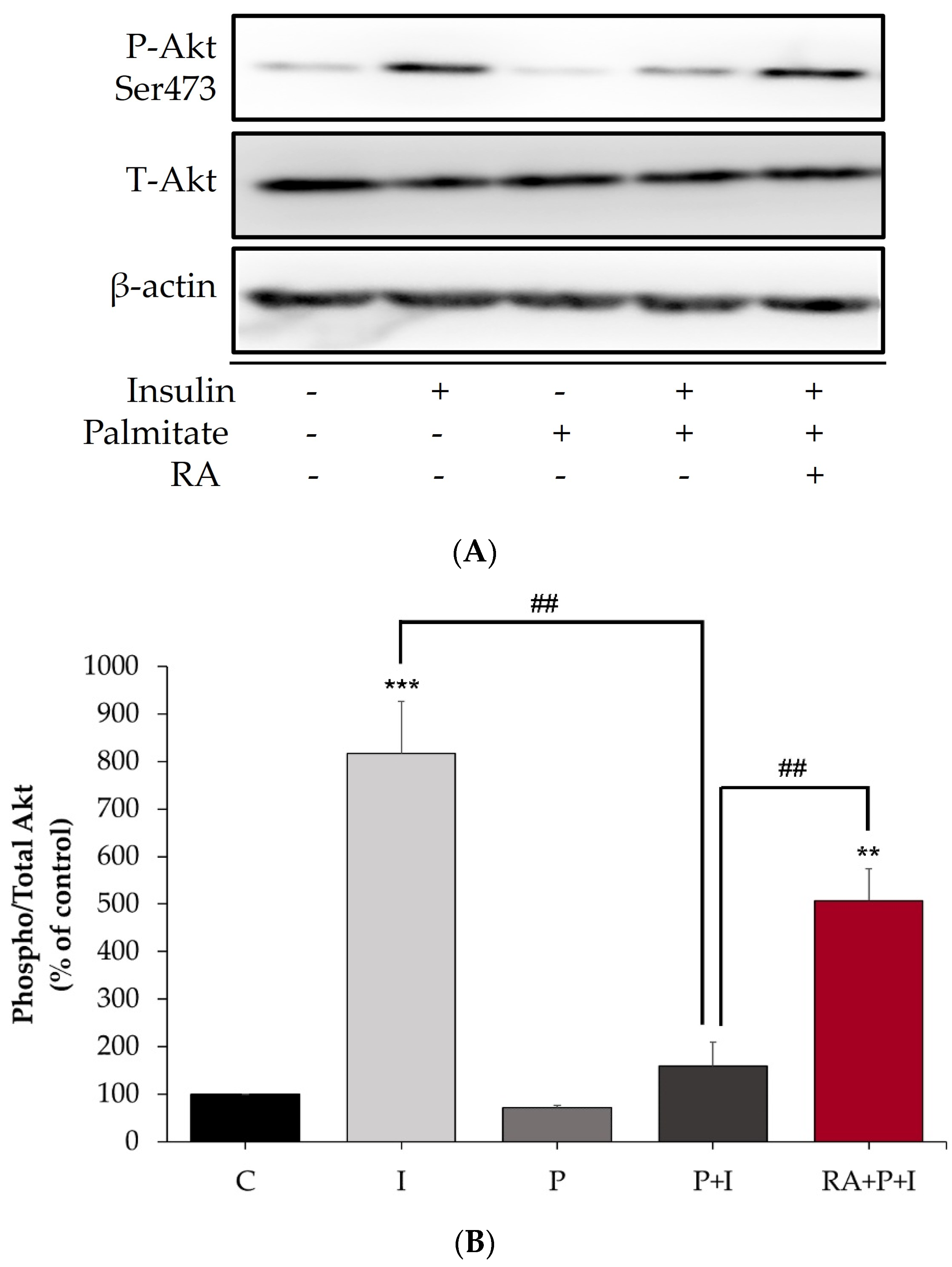 Ijms 24 05094 g002 Ijms 24 05094 g002