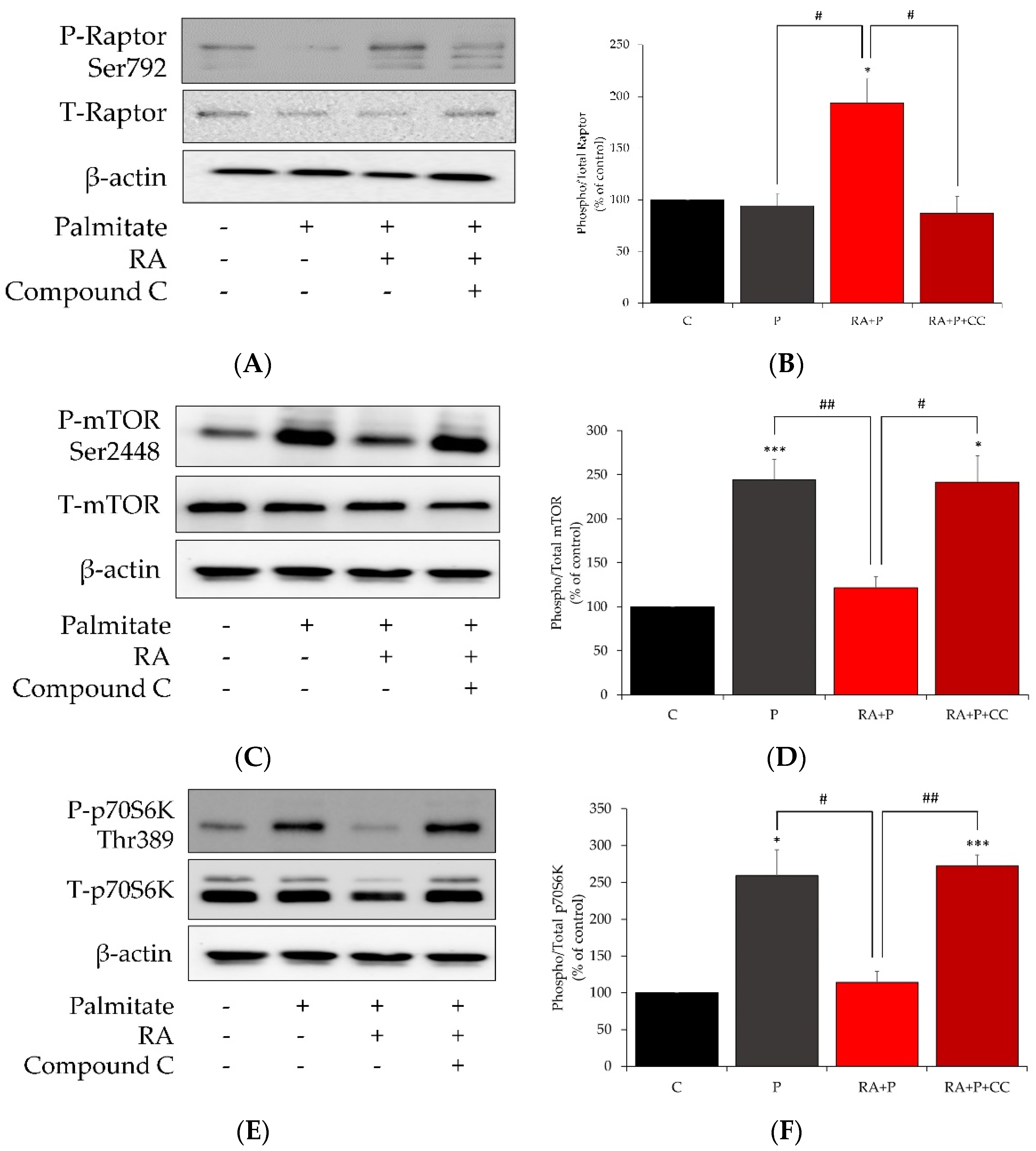 Ijms 24 05094 g007 Ijms 24 05094 g007