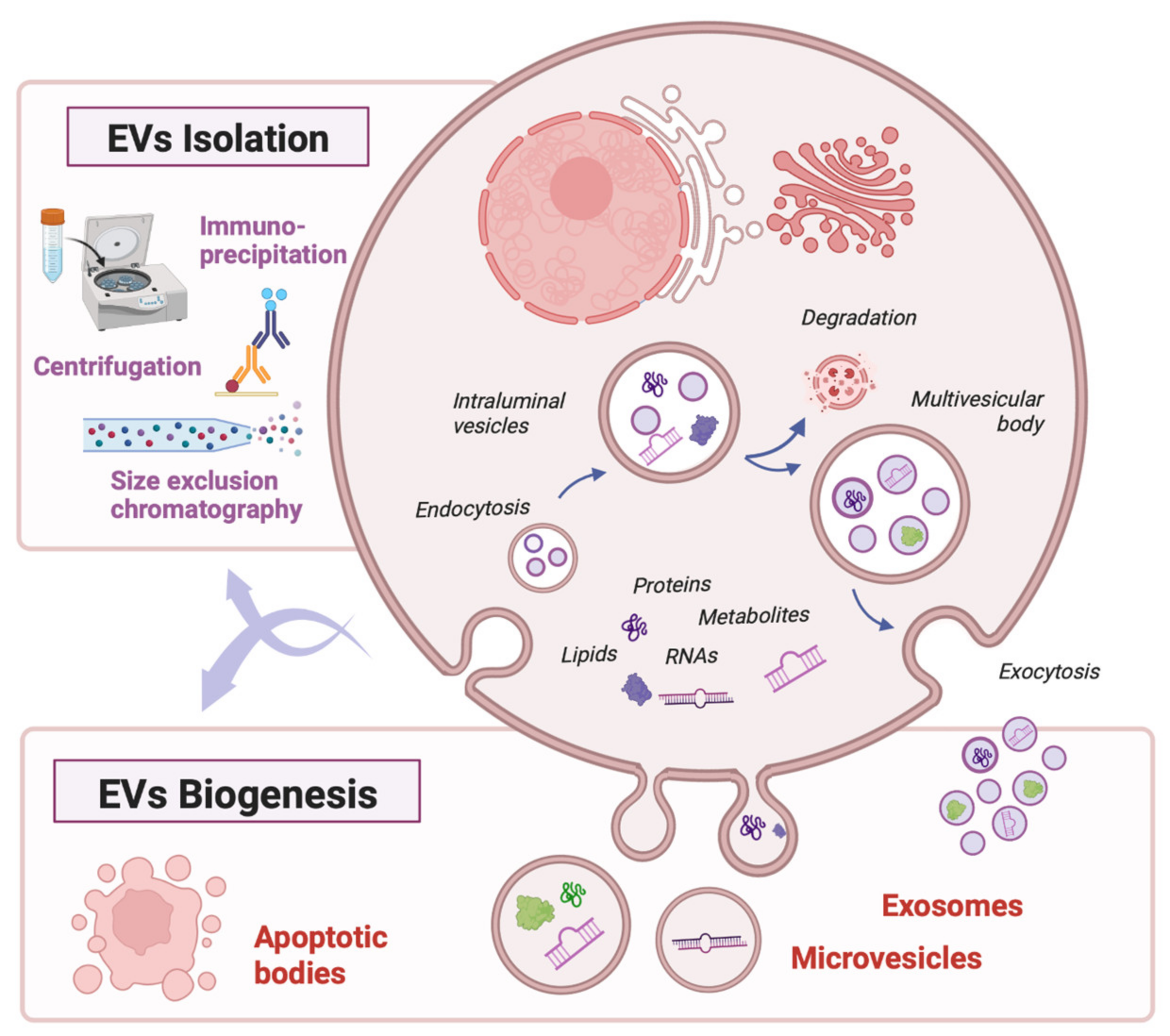 Ijms 24 05102 g001 Ijms 24 05102 g001