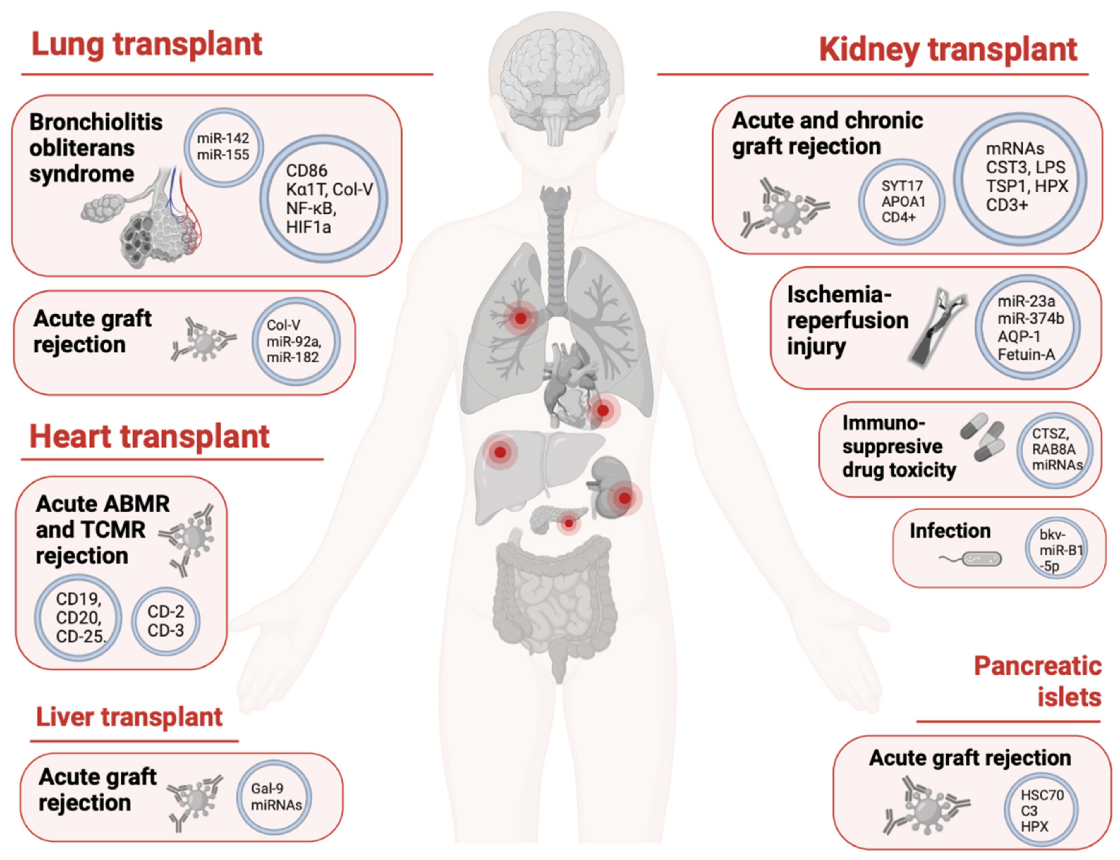 Ijms 24 05102 g002 Ijms 24 05102 g002