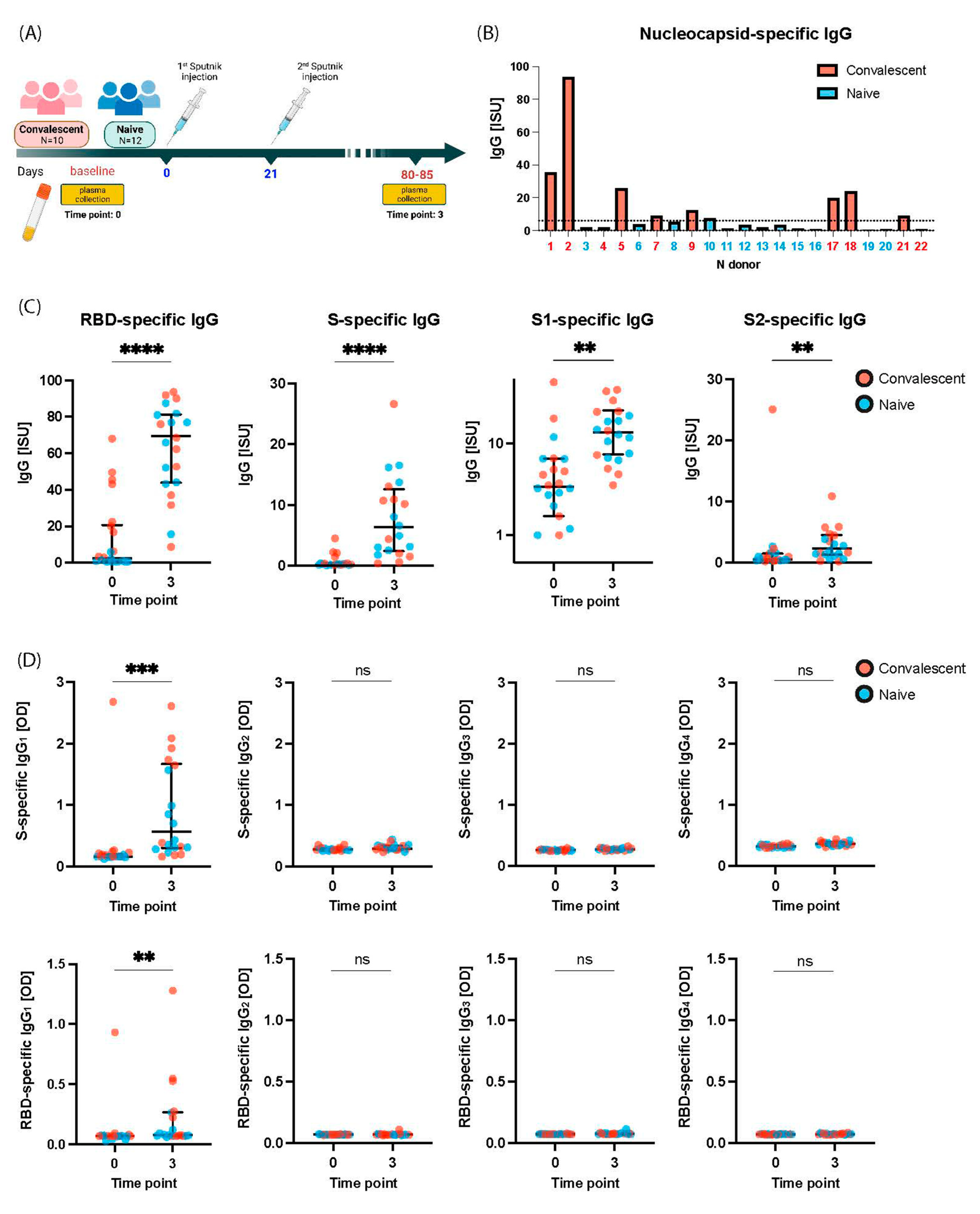 Ijms 24 05104 g001 Ijms 24 05104 g001
