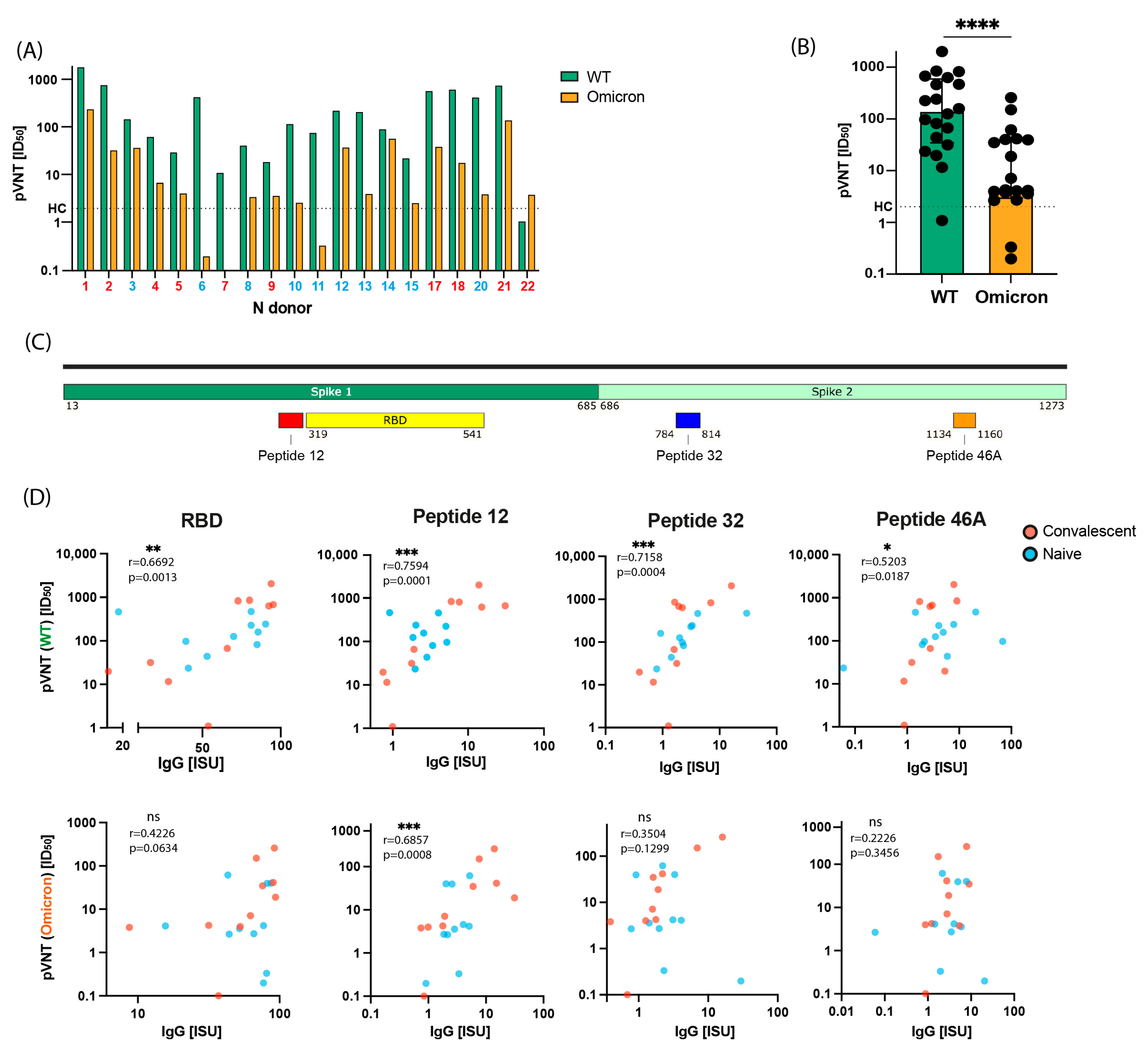 Ijms 24 05104 g002 Ijms 24 05104 g002