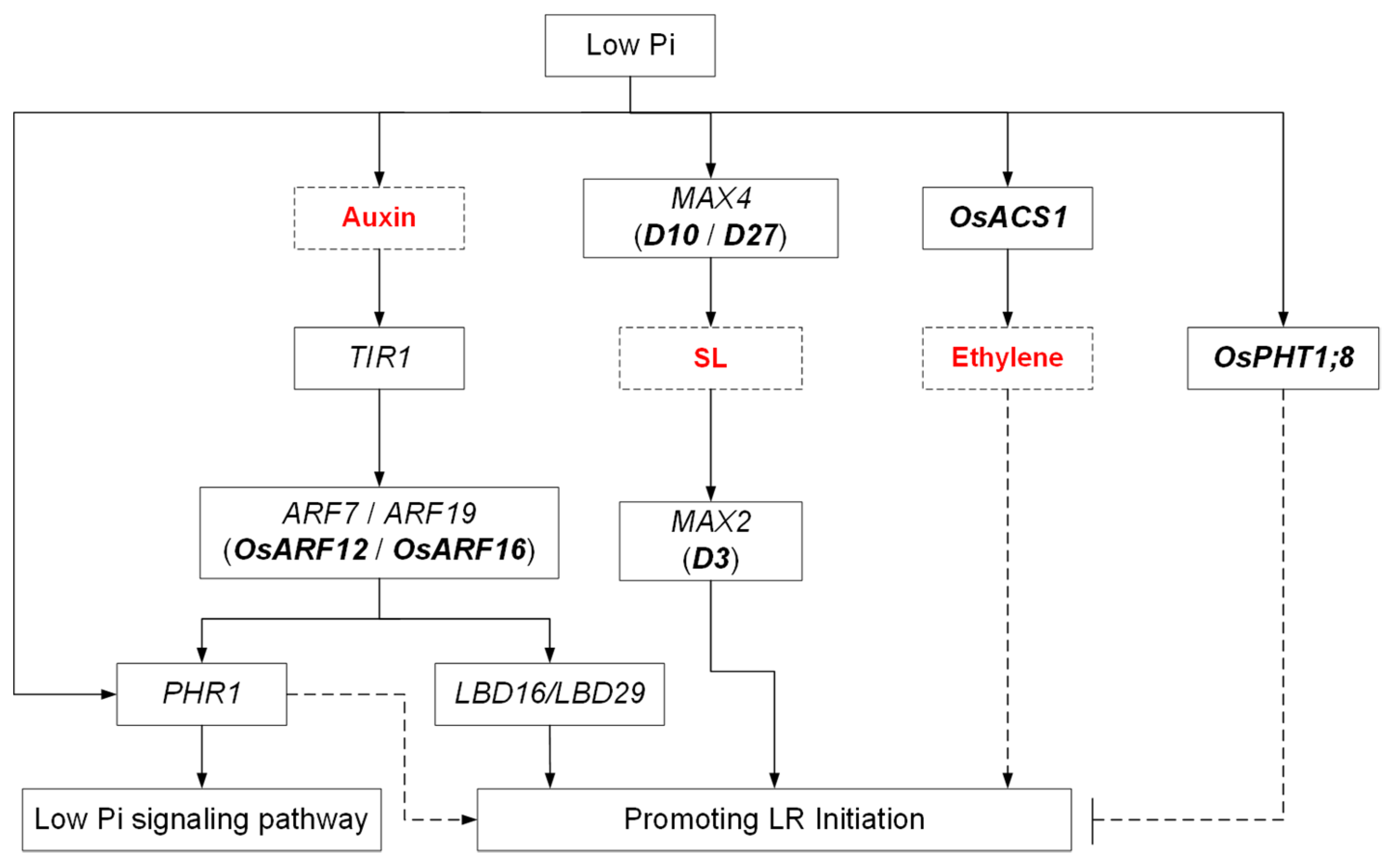 Ijms 24 05107 g002 Ijms 24 05107 g002