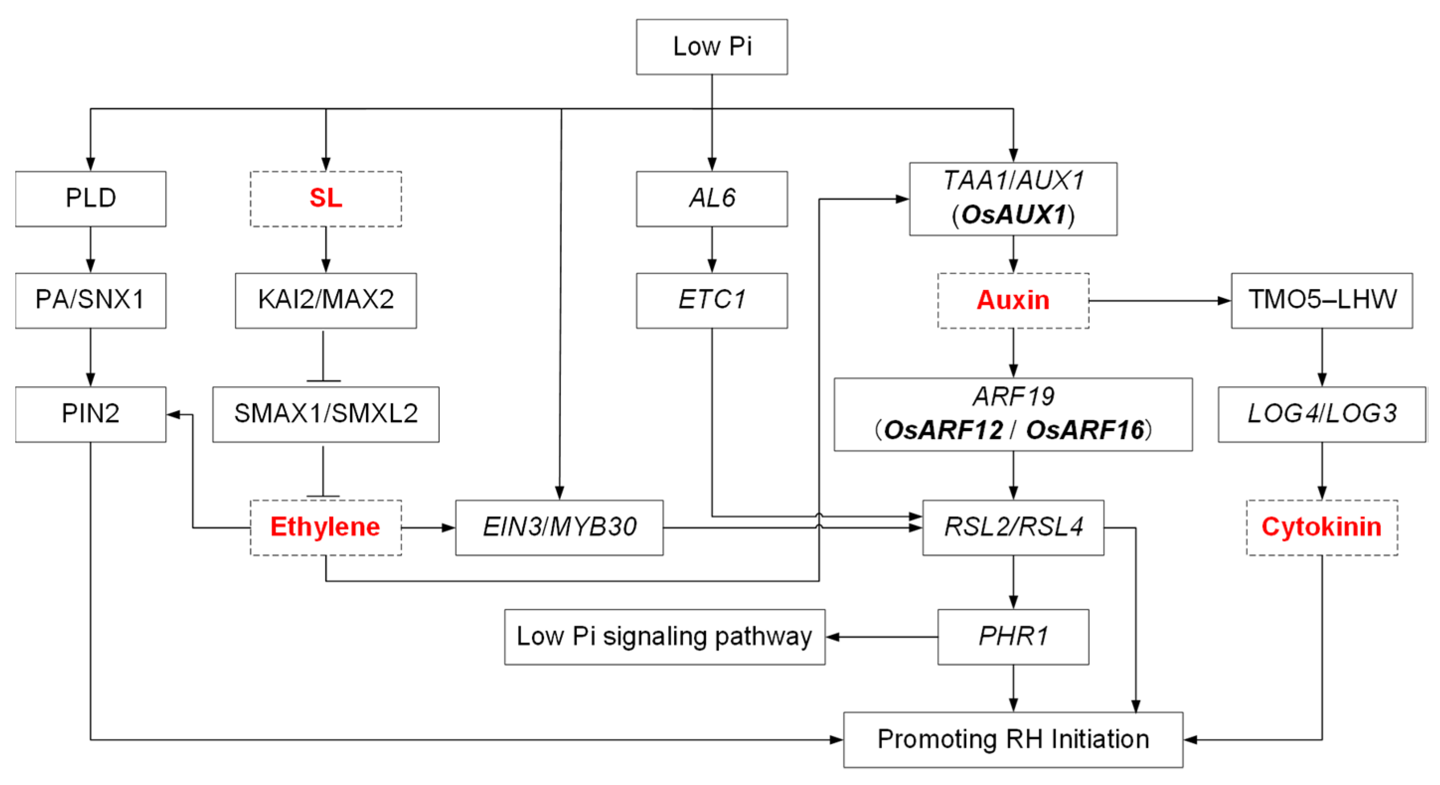Ijms 24 05107 g003 Ijms 24 05107 g003
