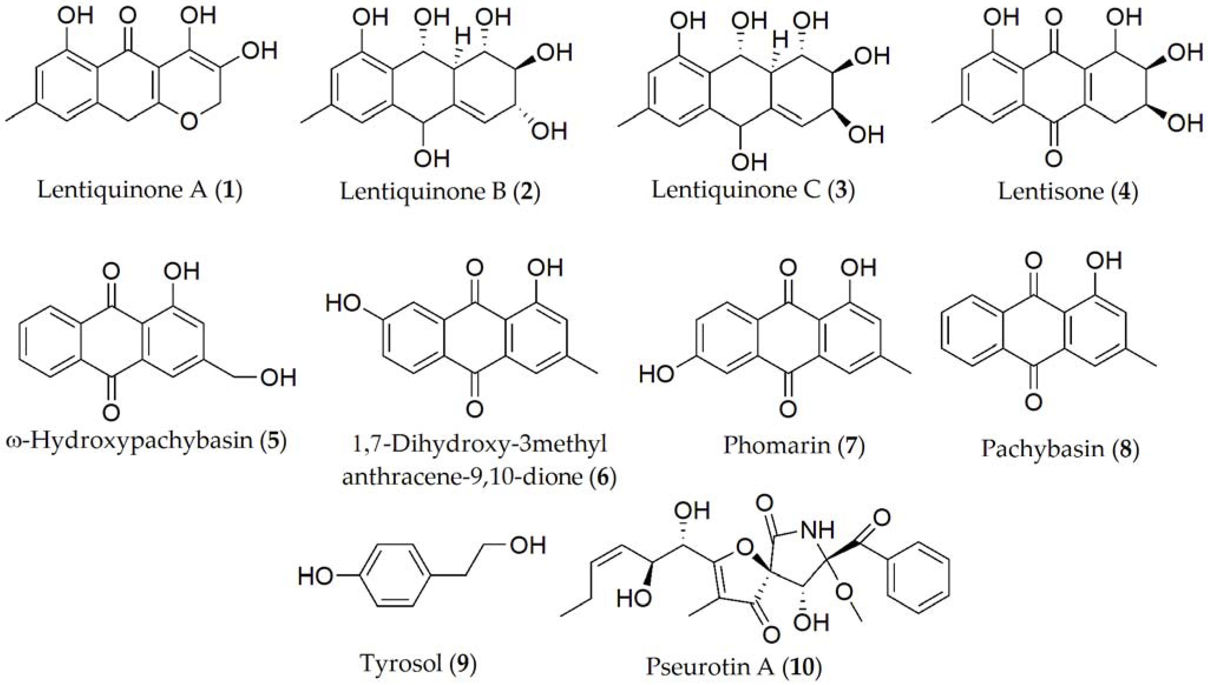 Ijms 24 05116 g001 Ijms 24 05116 g001
