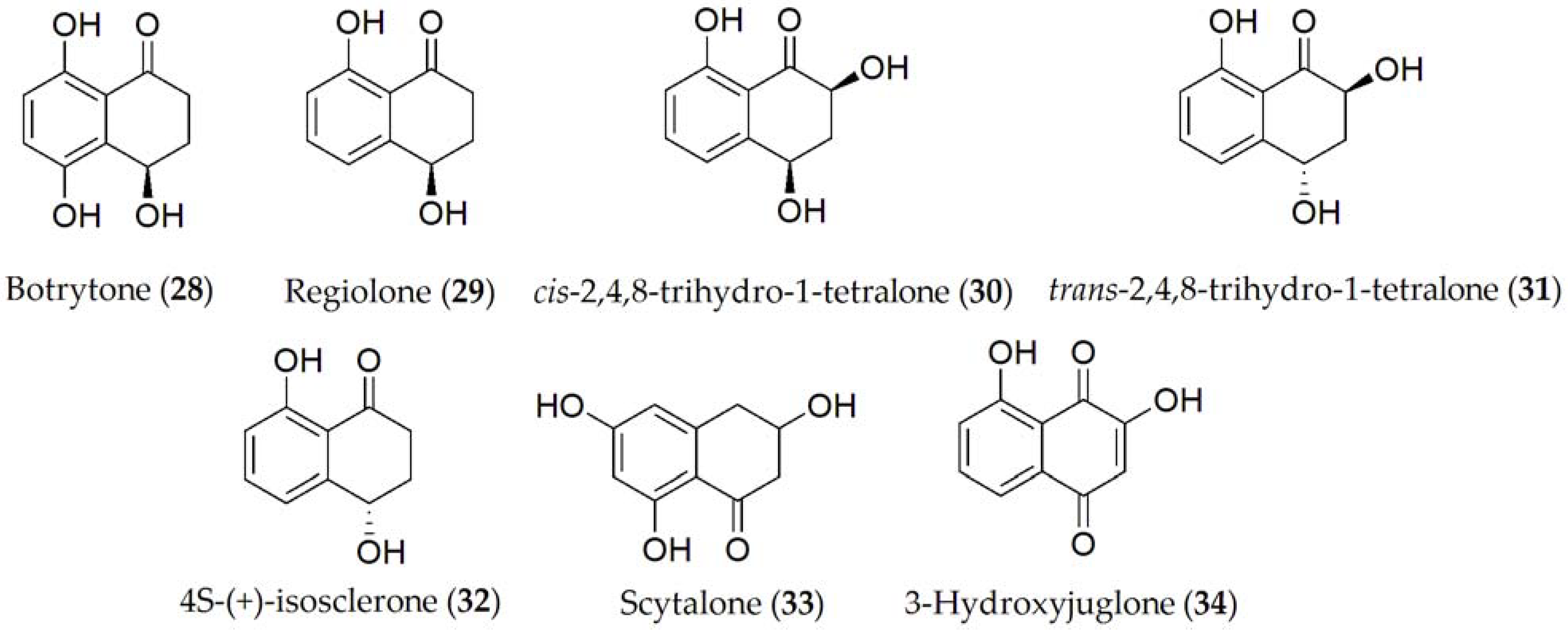 Ijms 24 05116 g006 Ijms 24 05116 g006