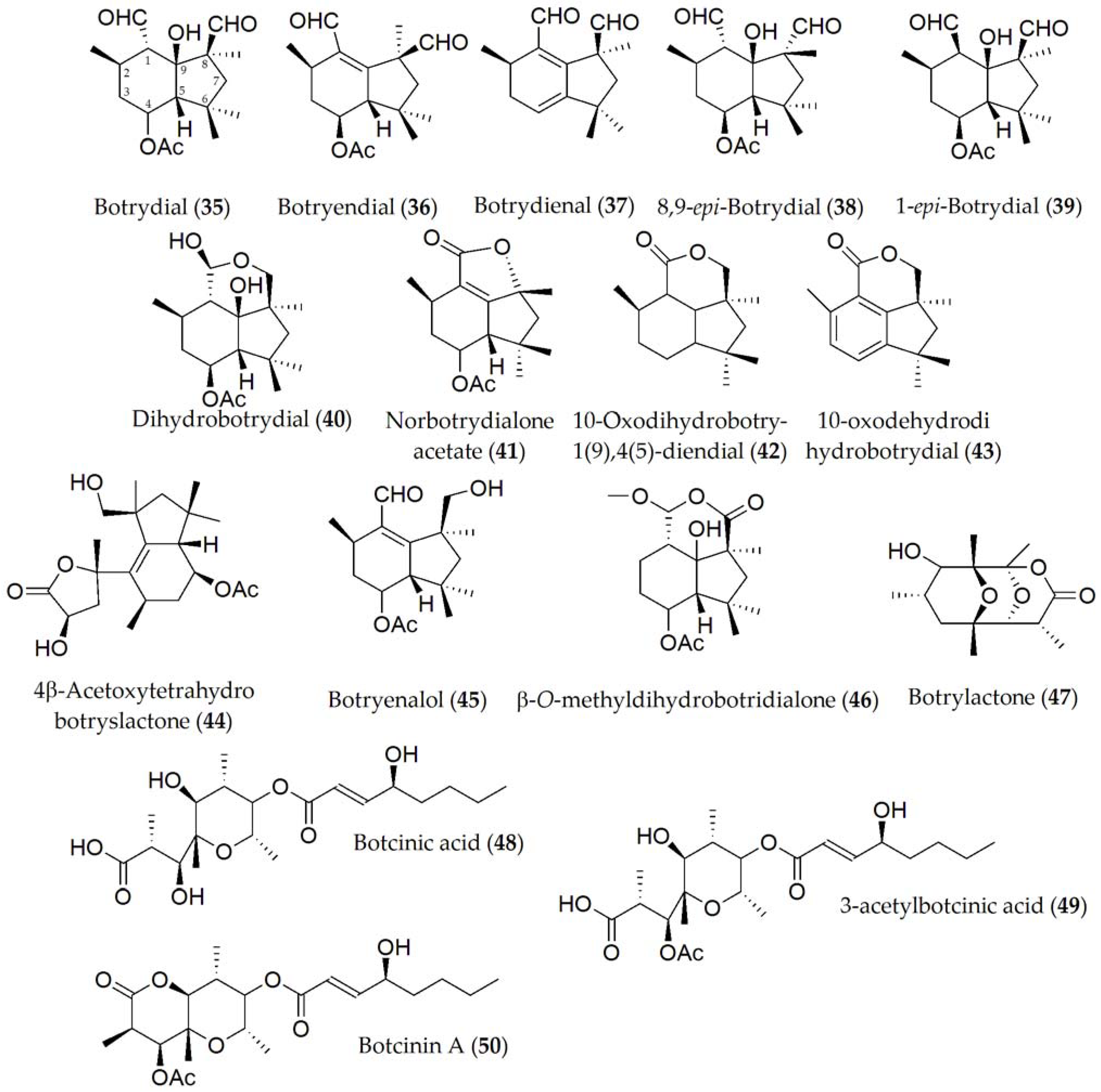 Ijms 24 05116 g007 Ijms 24 05116 g007