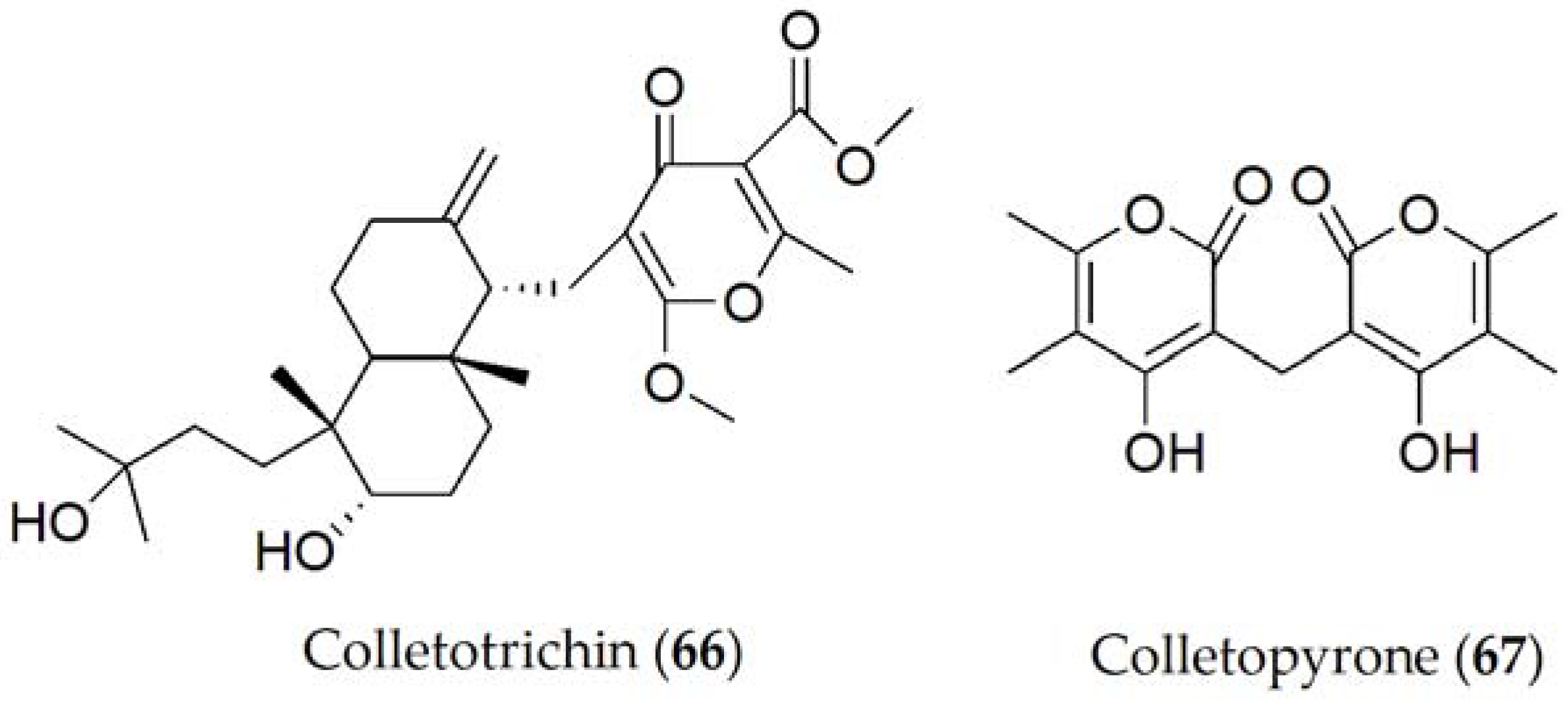 Ijms 24 05116 g011 Ijms 24 05116 g011