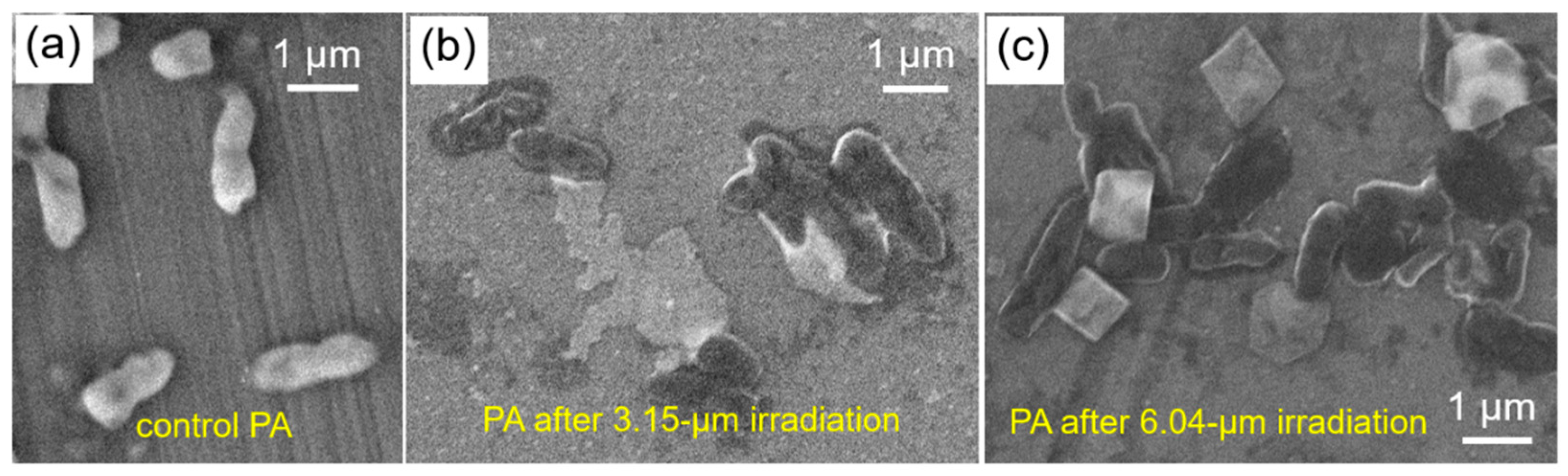 Ijms 24 05119 g001 Ijms 24 05119 g001