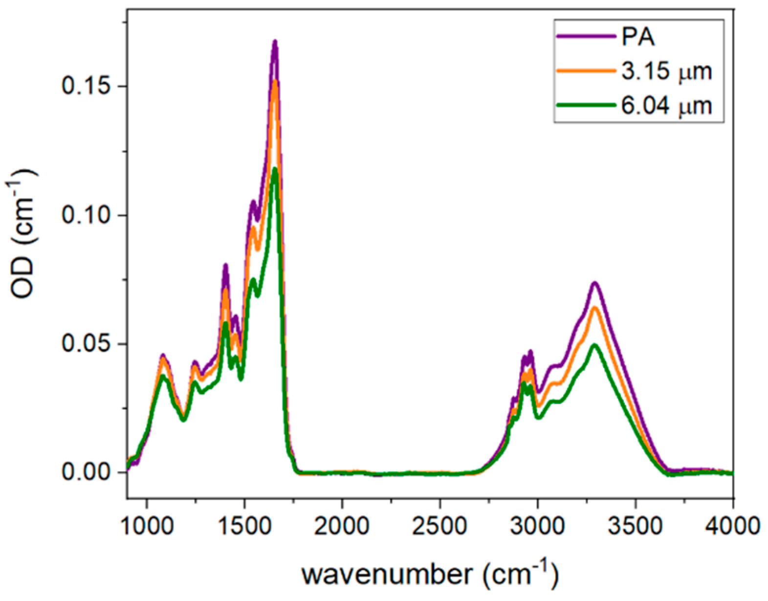 Ijms 24 05119 g004 Ijms 24 05119 g004