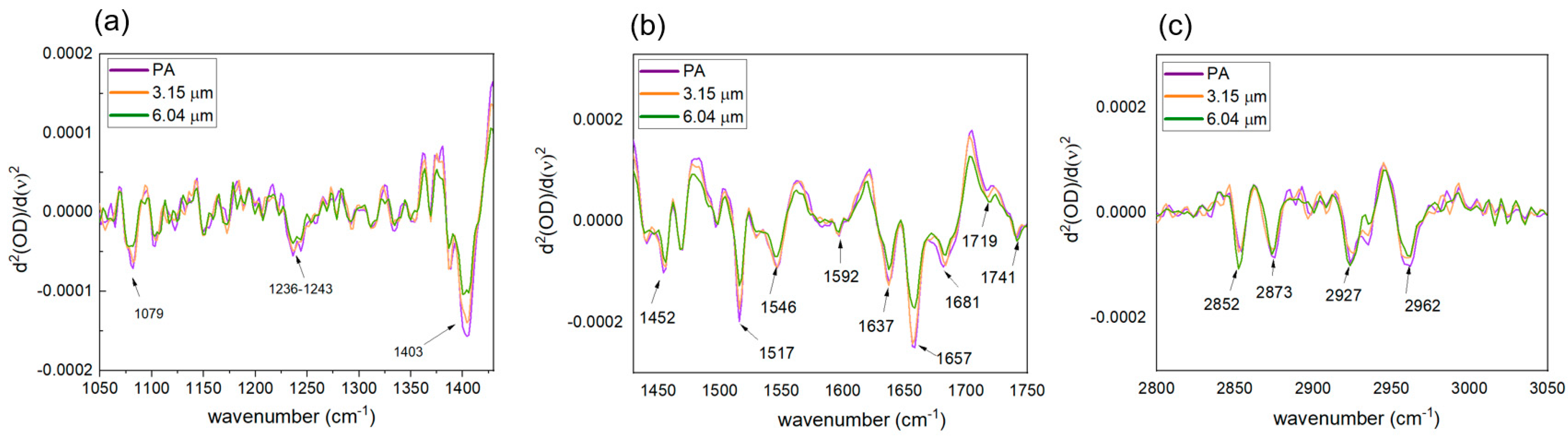 Ijms 24 05119 g005 Ijms 24 05119 g005