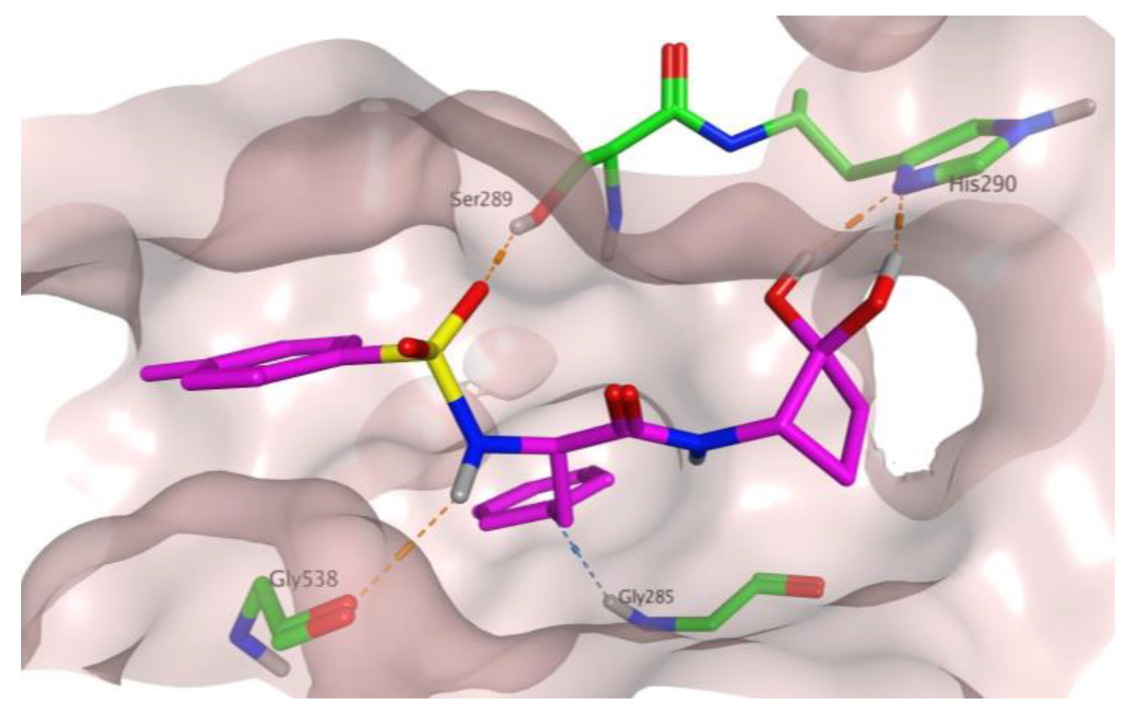 Ijms 24 05120 g002 Ijms 24 05120 g002