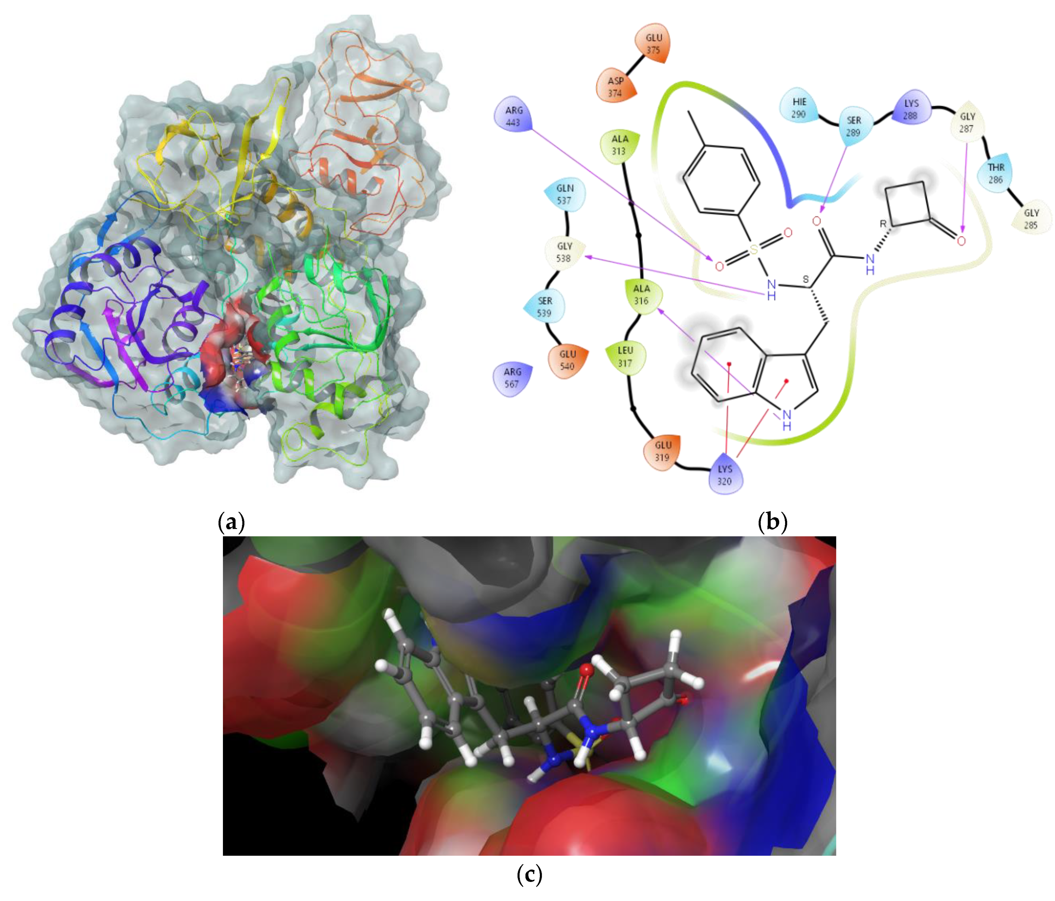 Ijms 24 05120 g006 Ijms 24 05120 g006