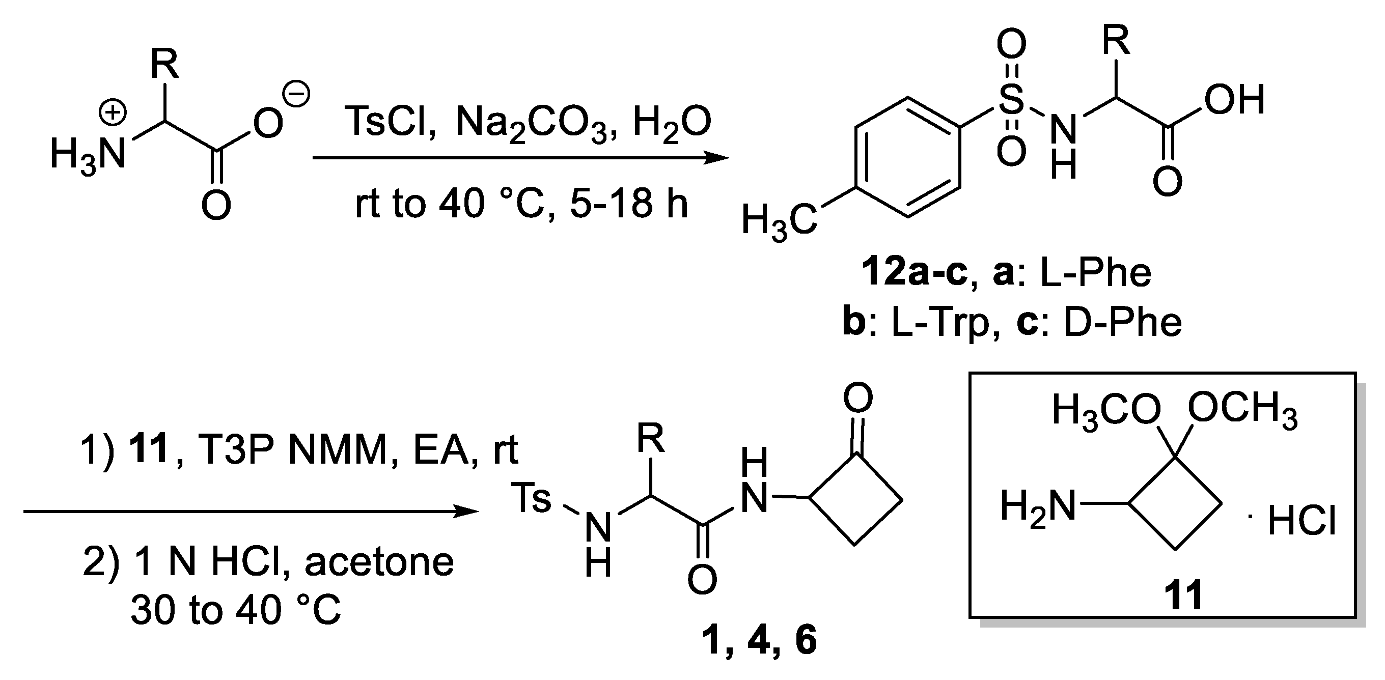 Ijms 24 05120 sch001 Ijms 24 05120 sch001