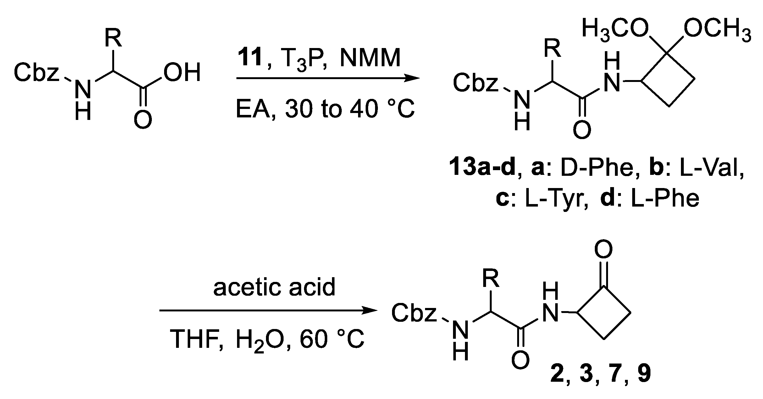 Ijms 24 05120 sch002 Ijms 24 05120 sch002