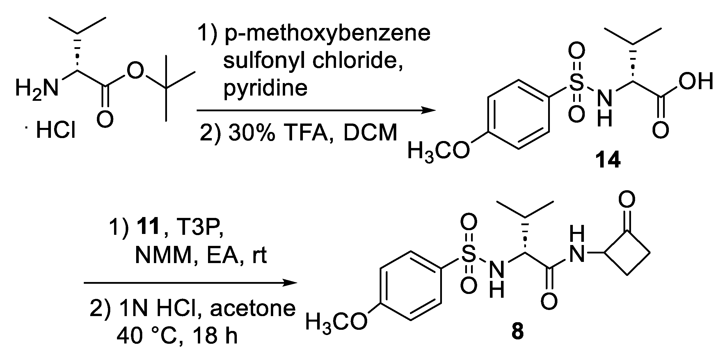 Ijms 24 05120 sch003 Ijms 24 05120 sch003