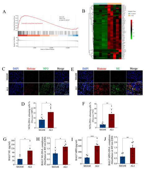 ThetaHealing ADVANCED DNA 日本語版 AAV8 gene therapy reverses cardiac pathology and prevents