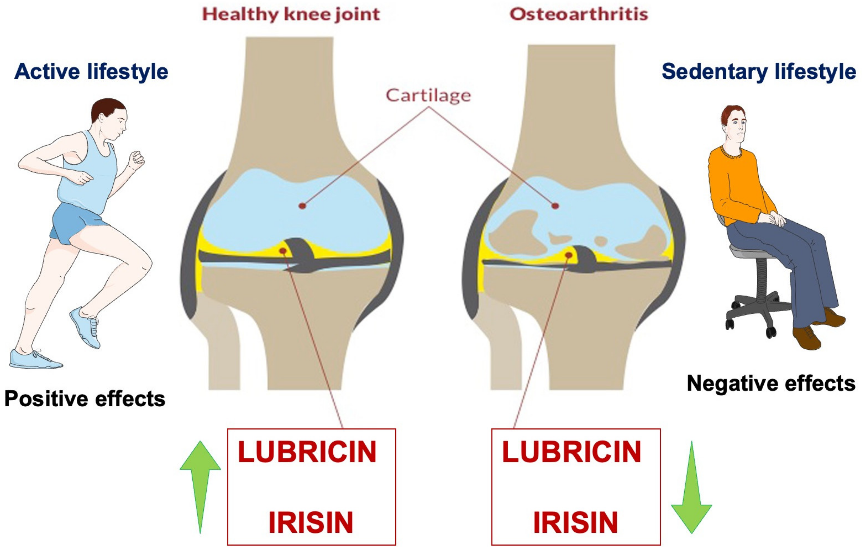Ijms 24 05126 g002 Ijms 24 05126 g002