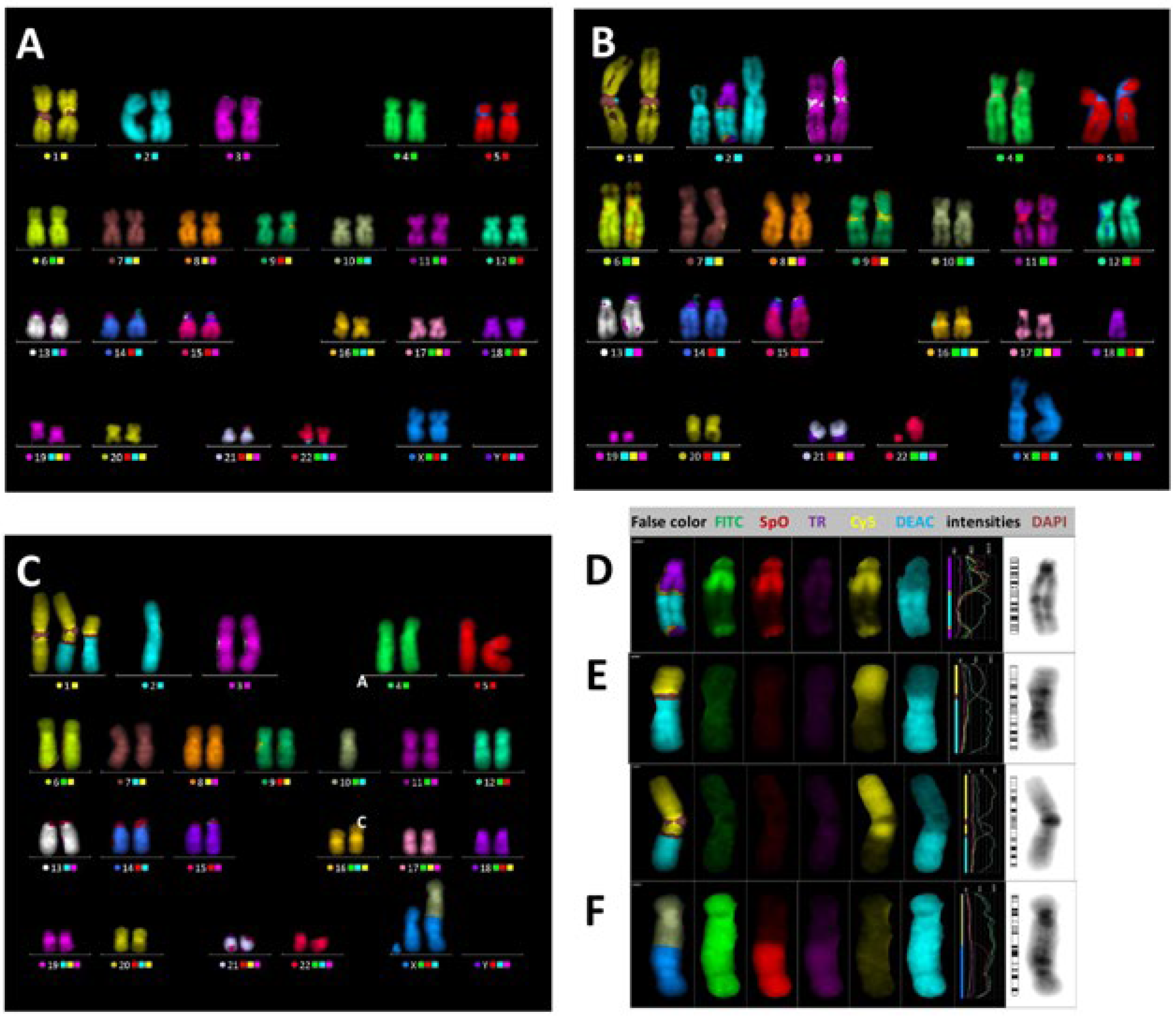 Ijms 24 05128 g004 Ijms 24 05128 g004