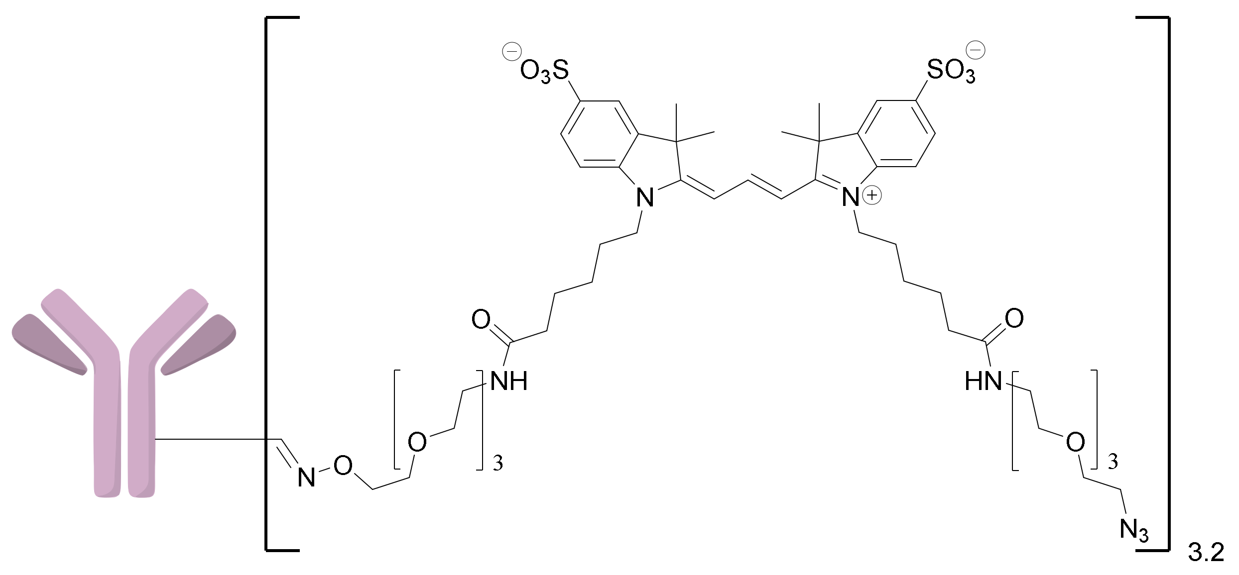 Ijms 24 05134 g010 Ijms 24 05134 g010