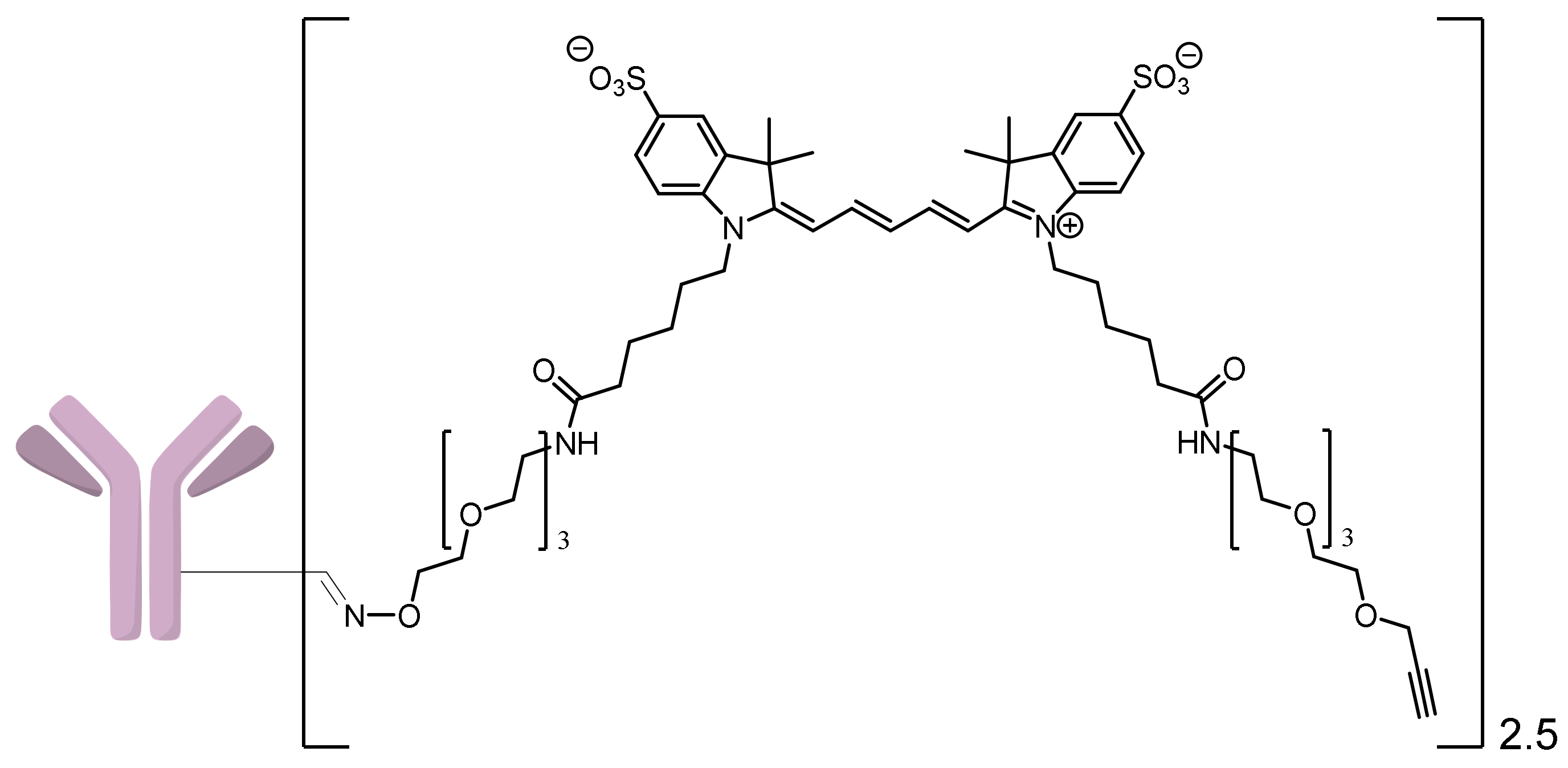 Ijms 24 05134 g012 Ijms 24 05134 g012