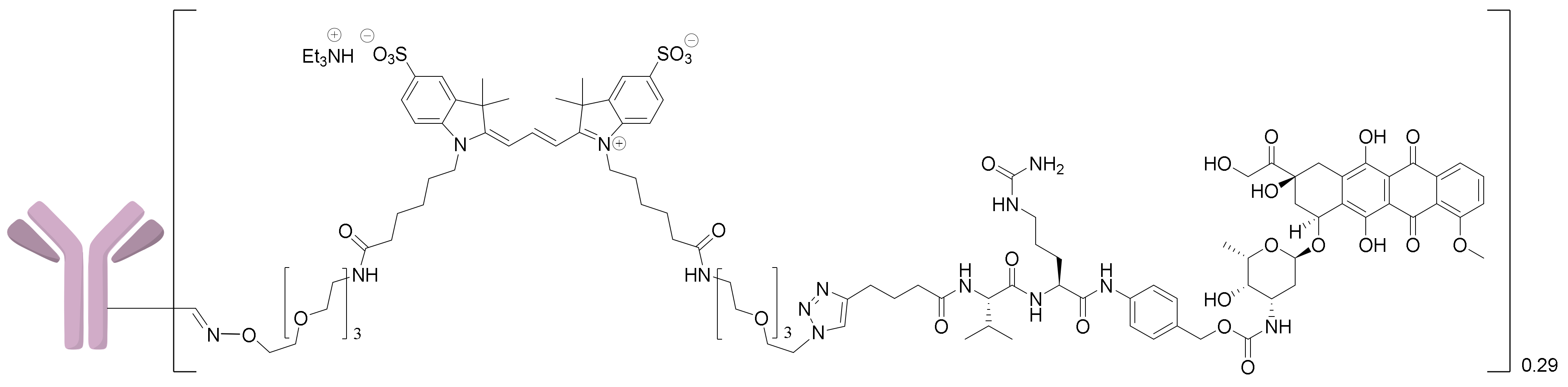 Ijms 24 05134 g013 Ijms 24 05134 g013