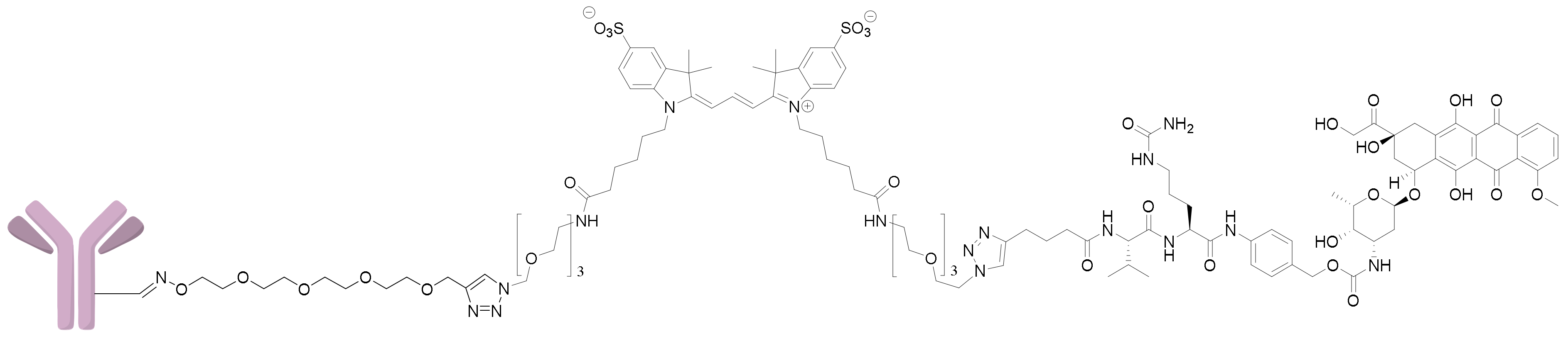 Ijms 24 05134 g016 Ijms 24 05134 g016