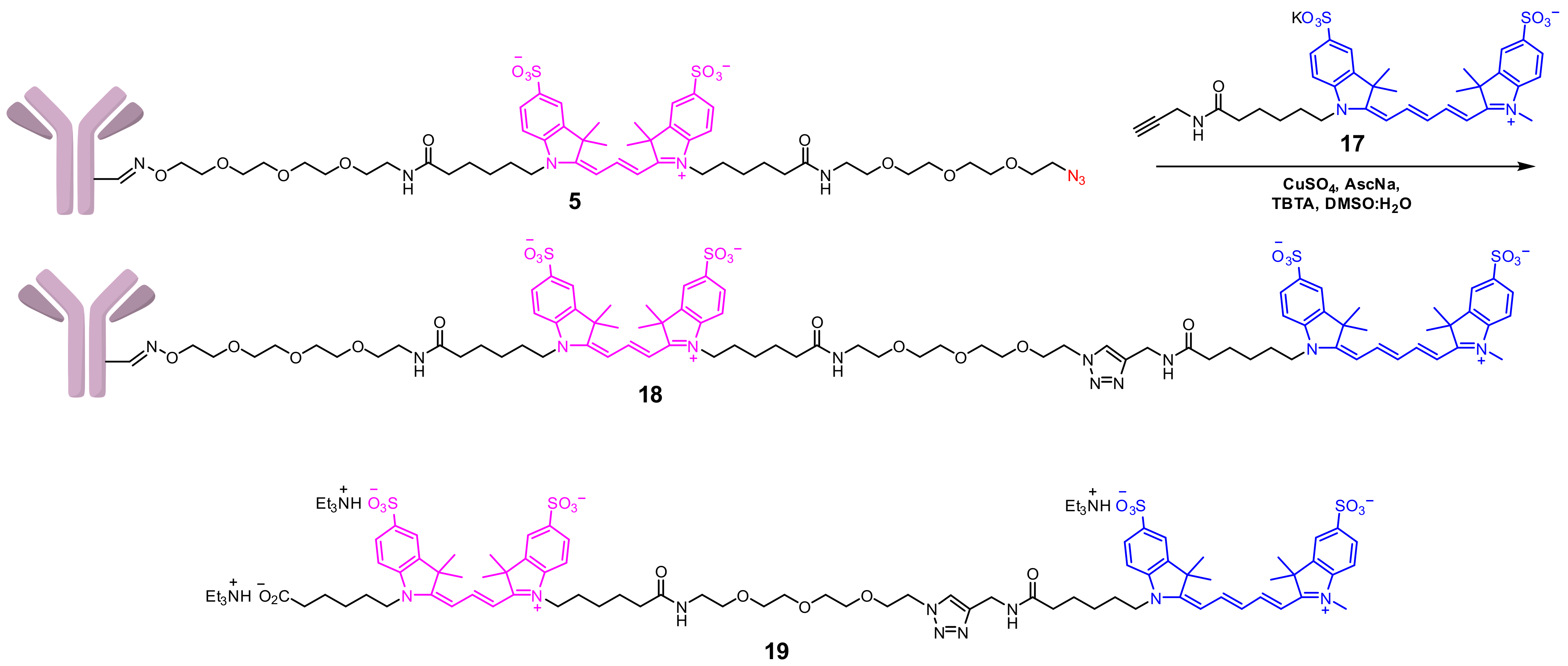 Ijms 24 05134 sch004 Ijms 24 05134 sch004