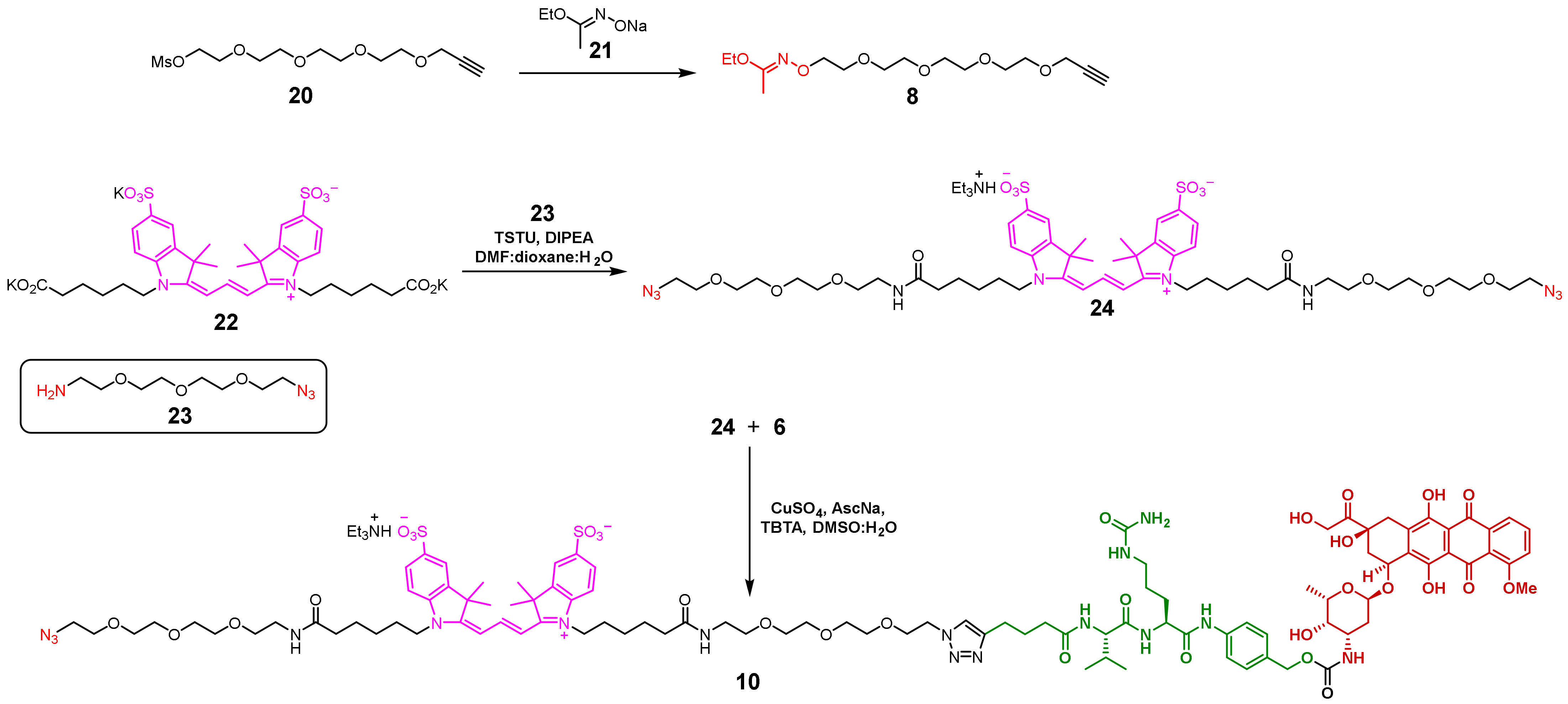 Ijms 24 05134 sch005 Ijms 24 05134 sch005