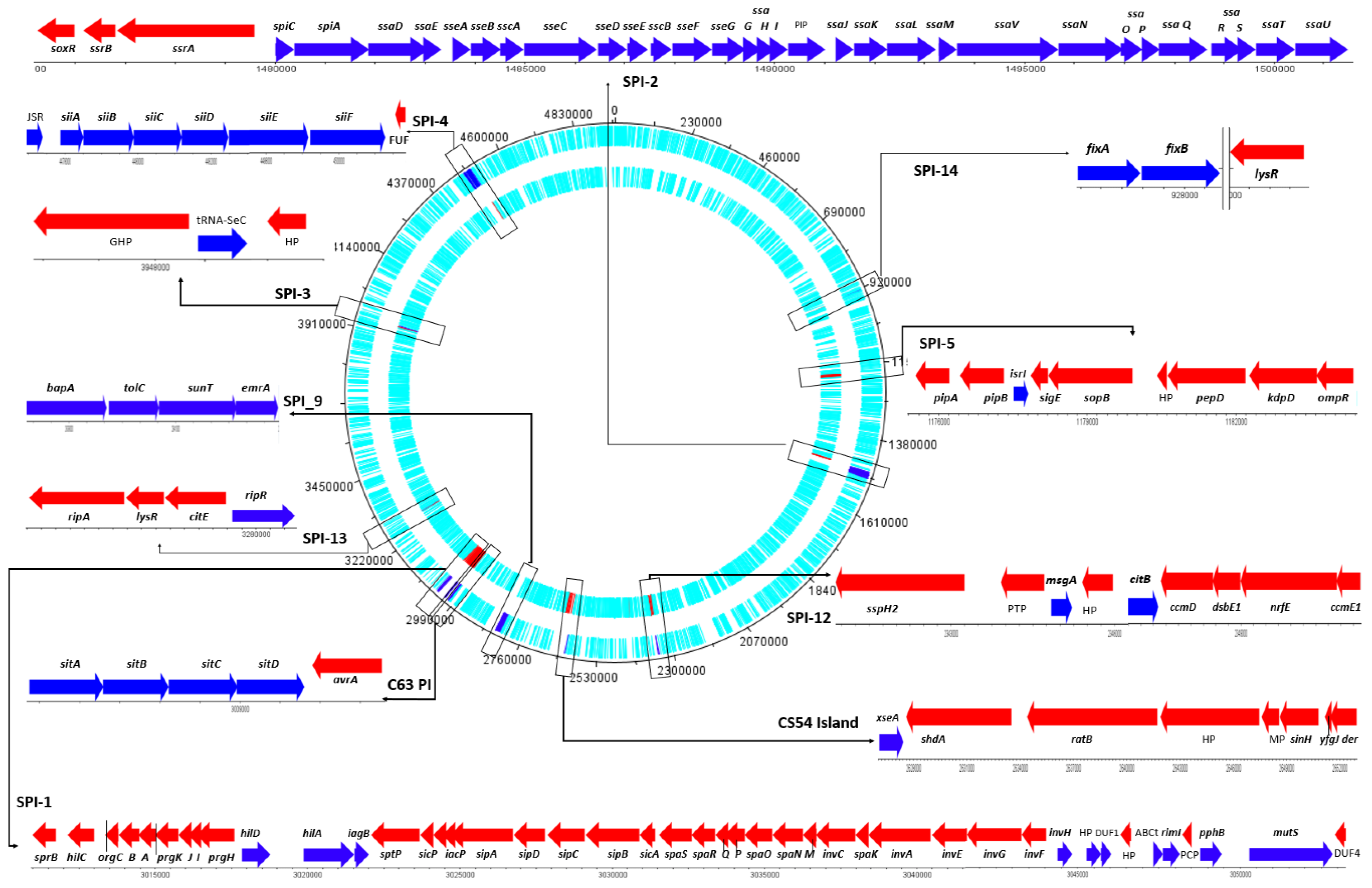 Ijms 24 05135 g004 Ijms 24 05135 g004