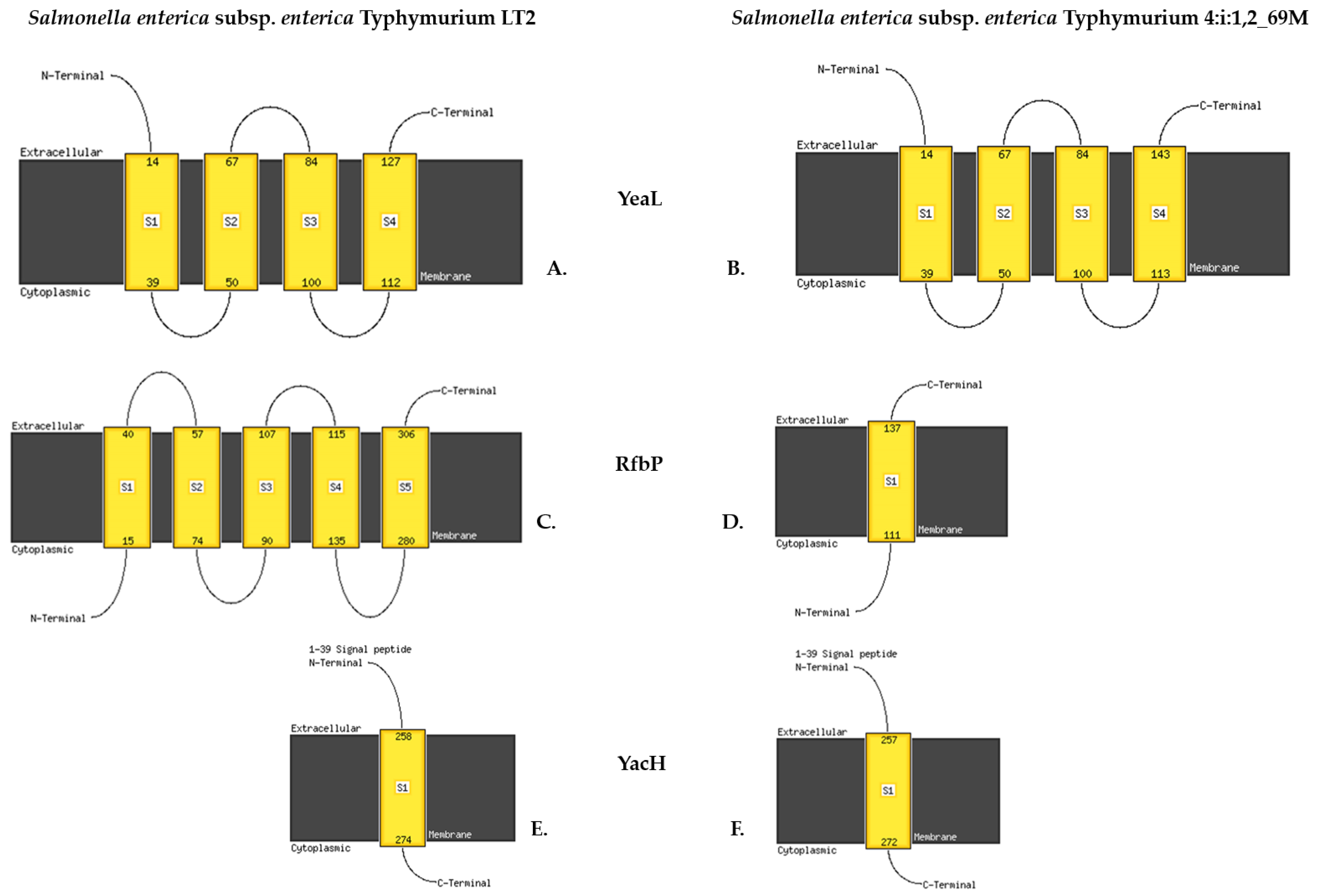 Ijms 24 05135 g005 Ijms 24 05135 g005