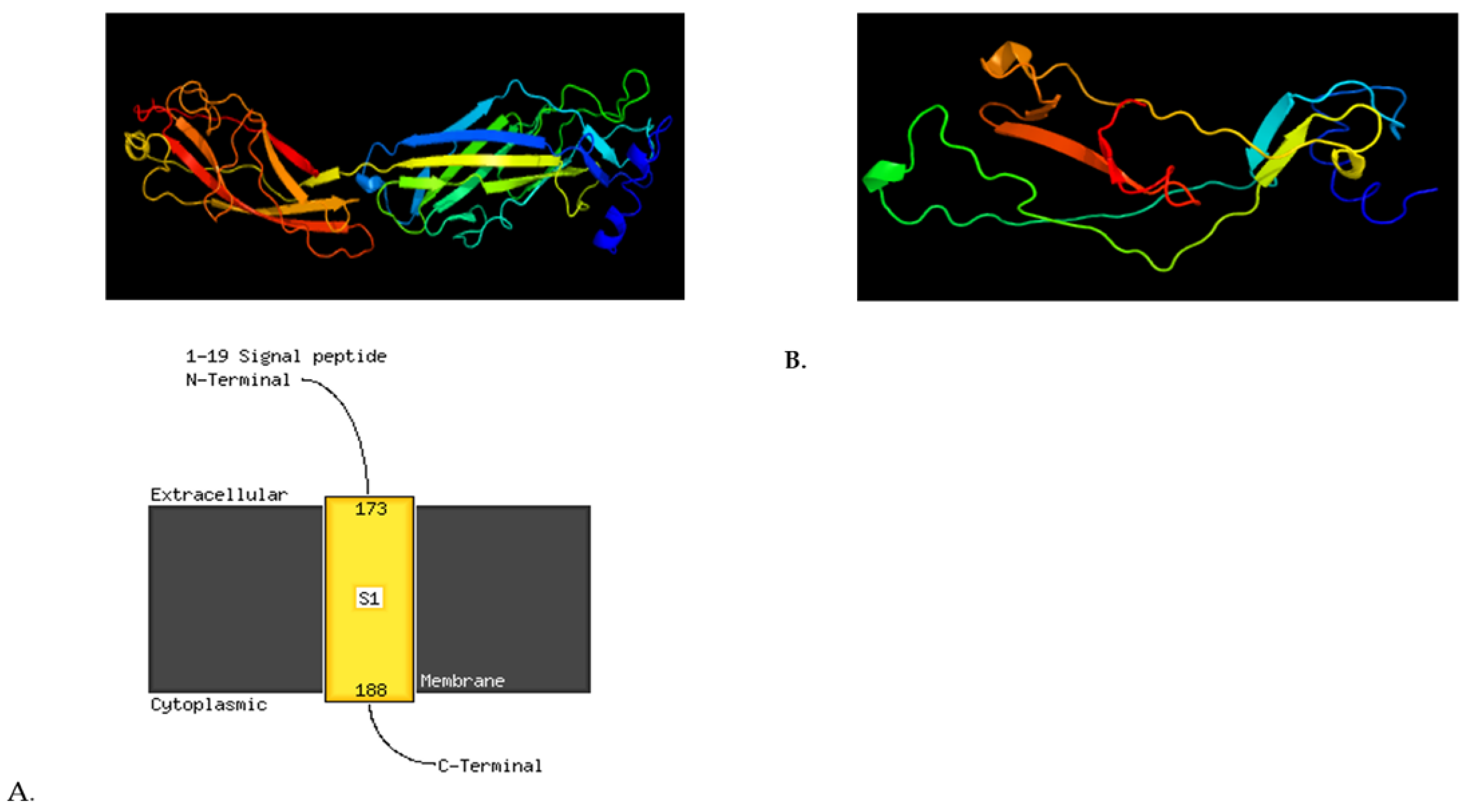 Ijms 24 05135 g006 Ijms 24 05135 g006