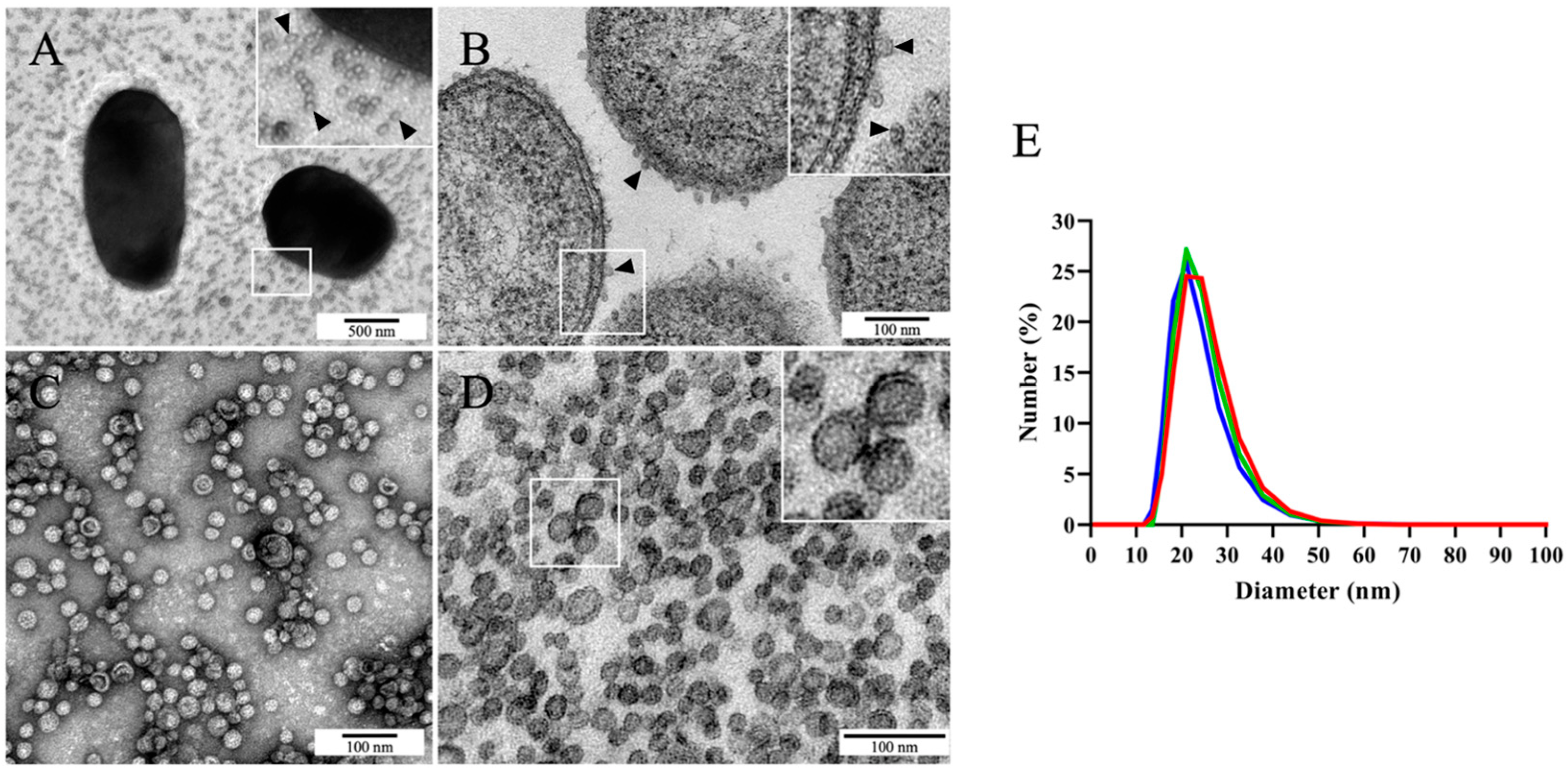 Ijms 24 05138 g001 Ijms 24 05138 g001