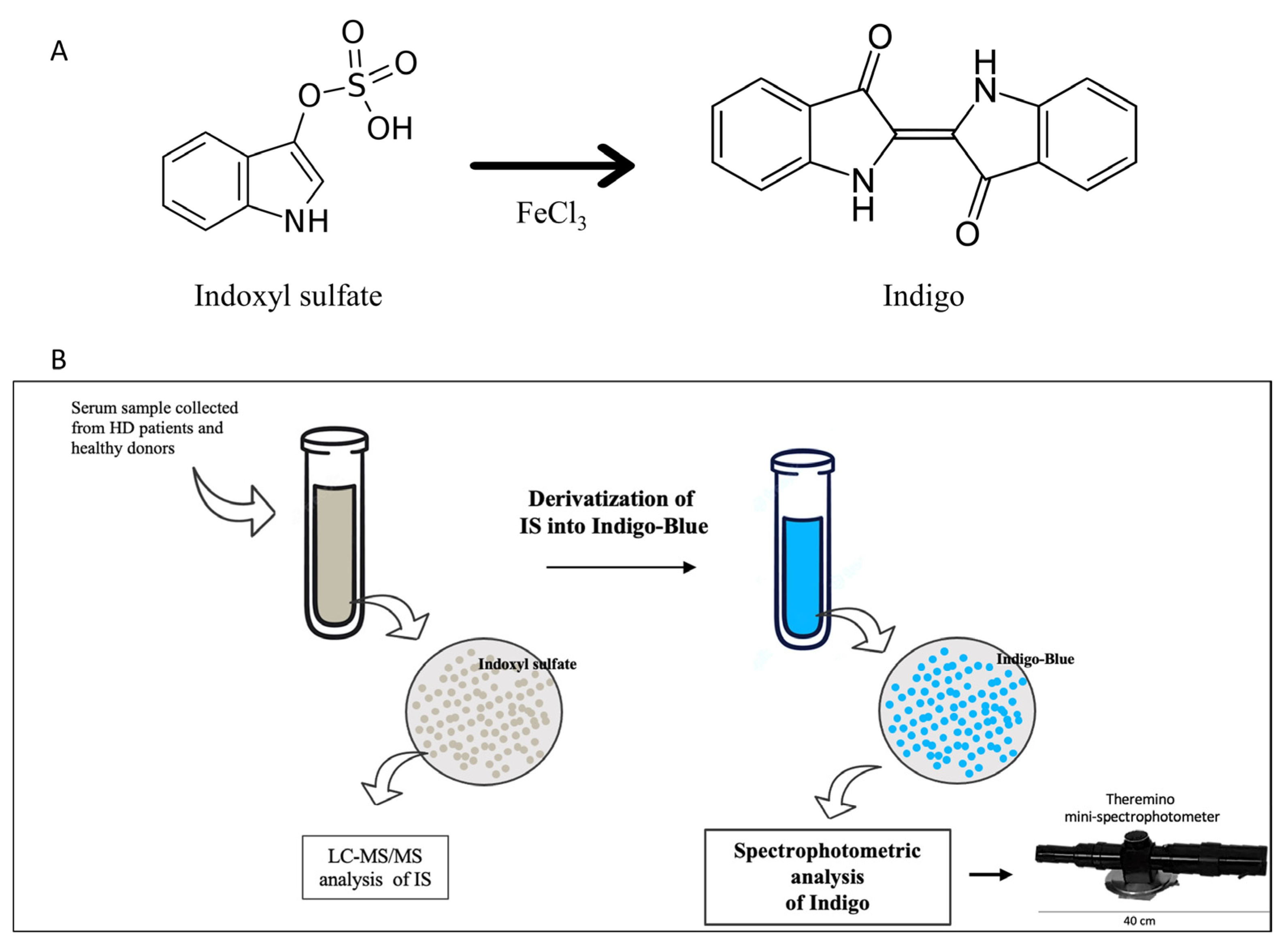 Ijms 24 05142 g001 Ijms 24 05142 g001