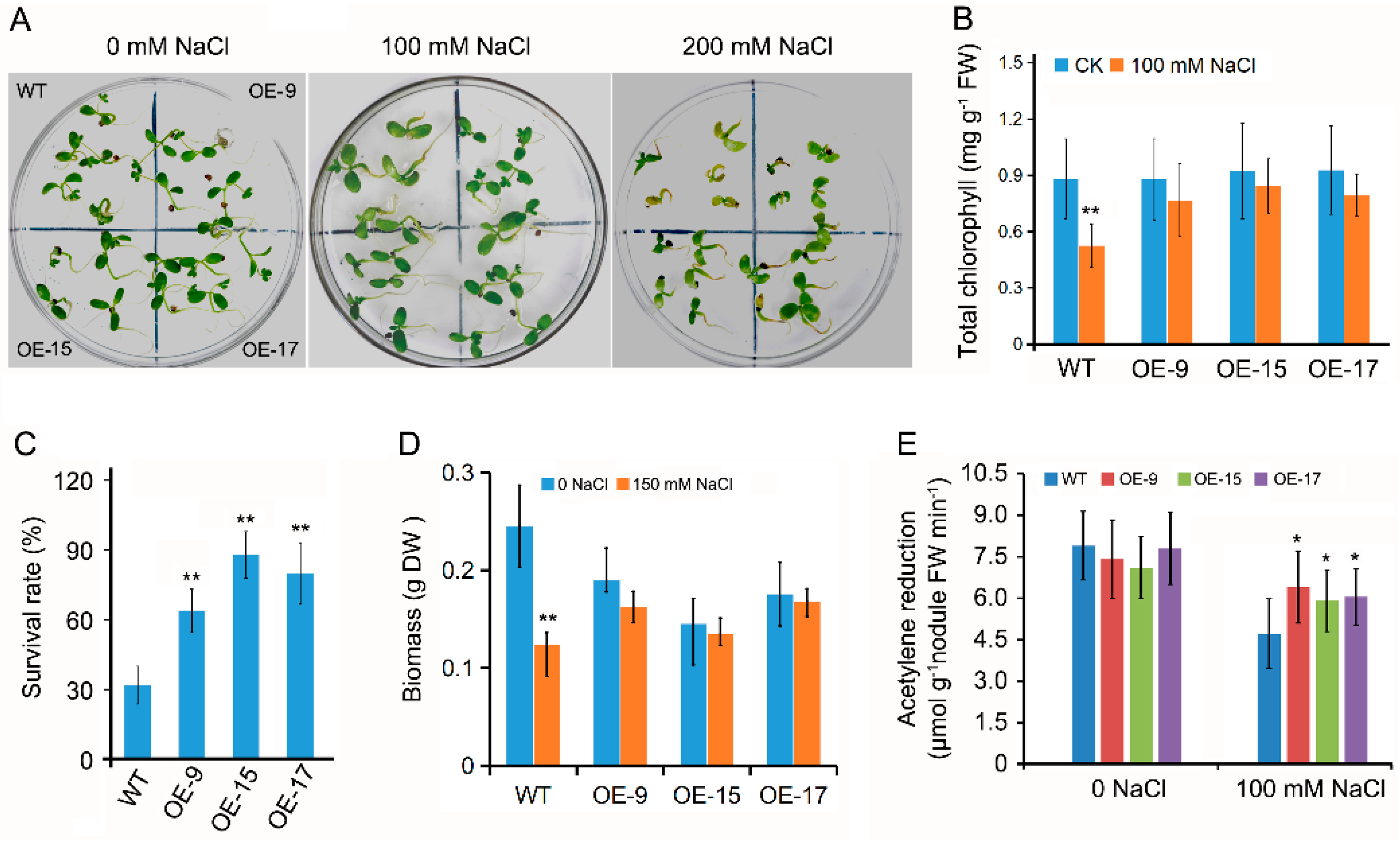 Ijms 24 05149 g002 Ijms 24 05149 g002