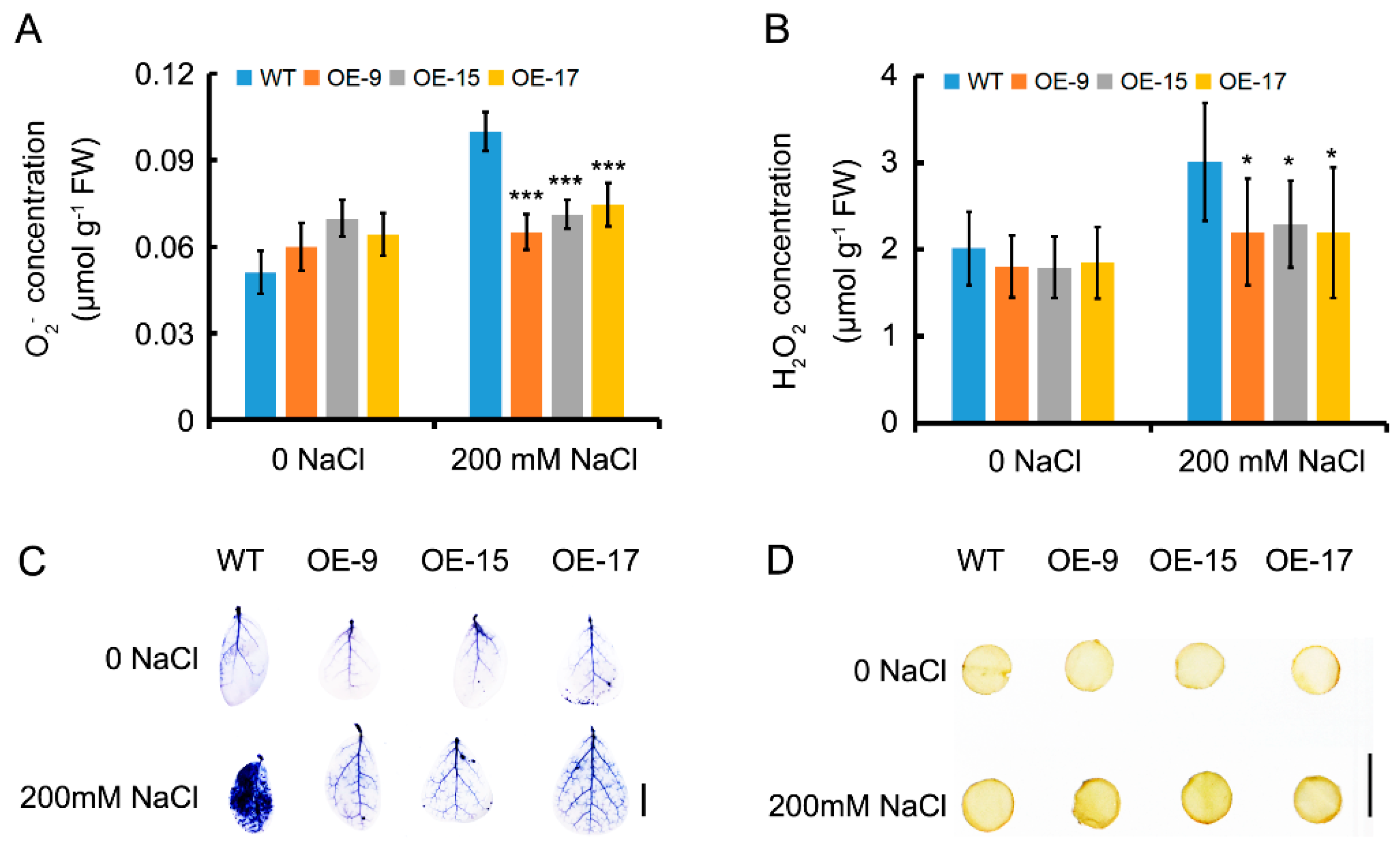 Ijms 24 05149 g004 Ijms 24 05149 g004