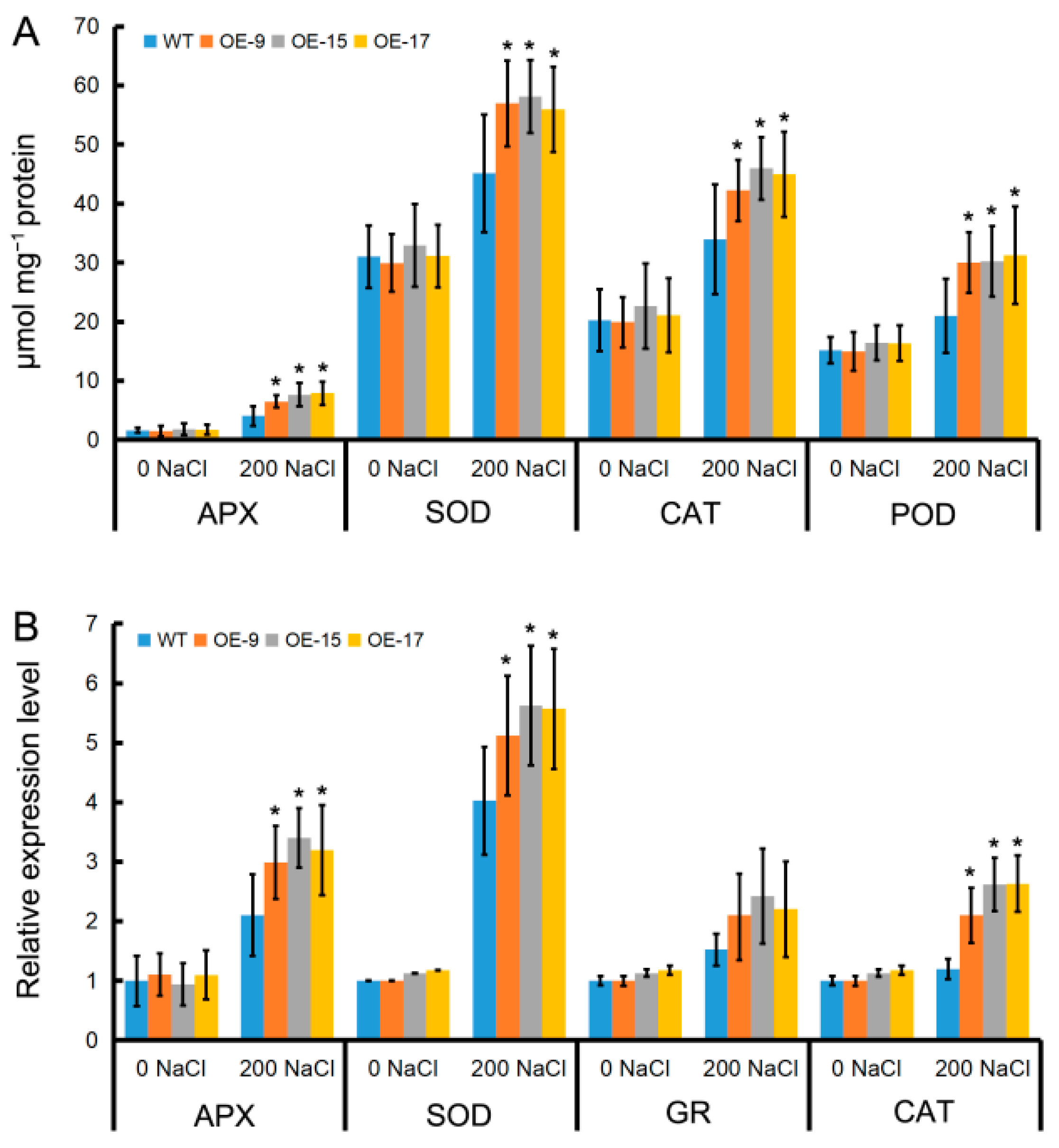 Ijms 24 05149 g005 Ijms 24 05149 g005