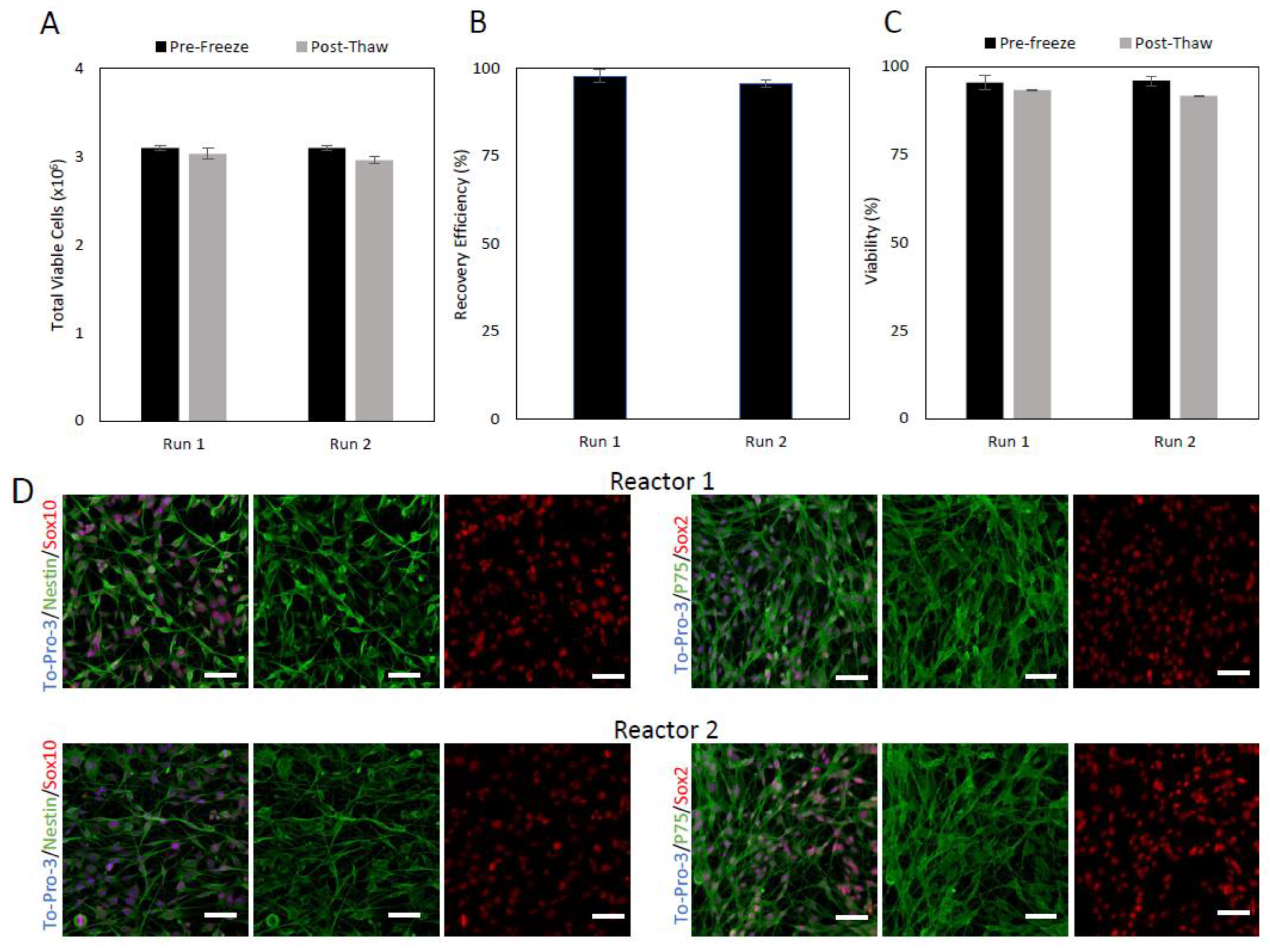 Ijms 24 05152 g001 Ijms 24 05152 g001