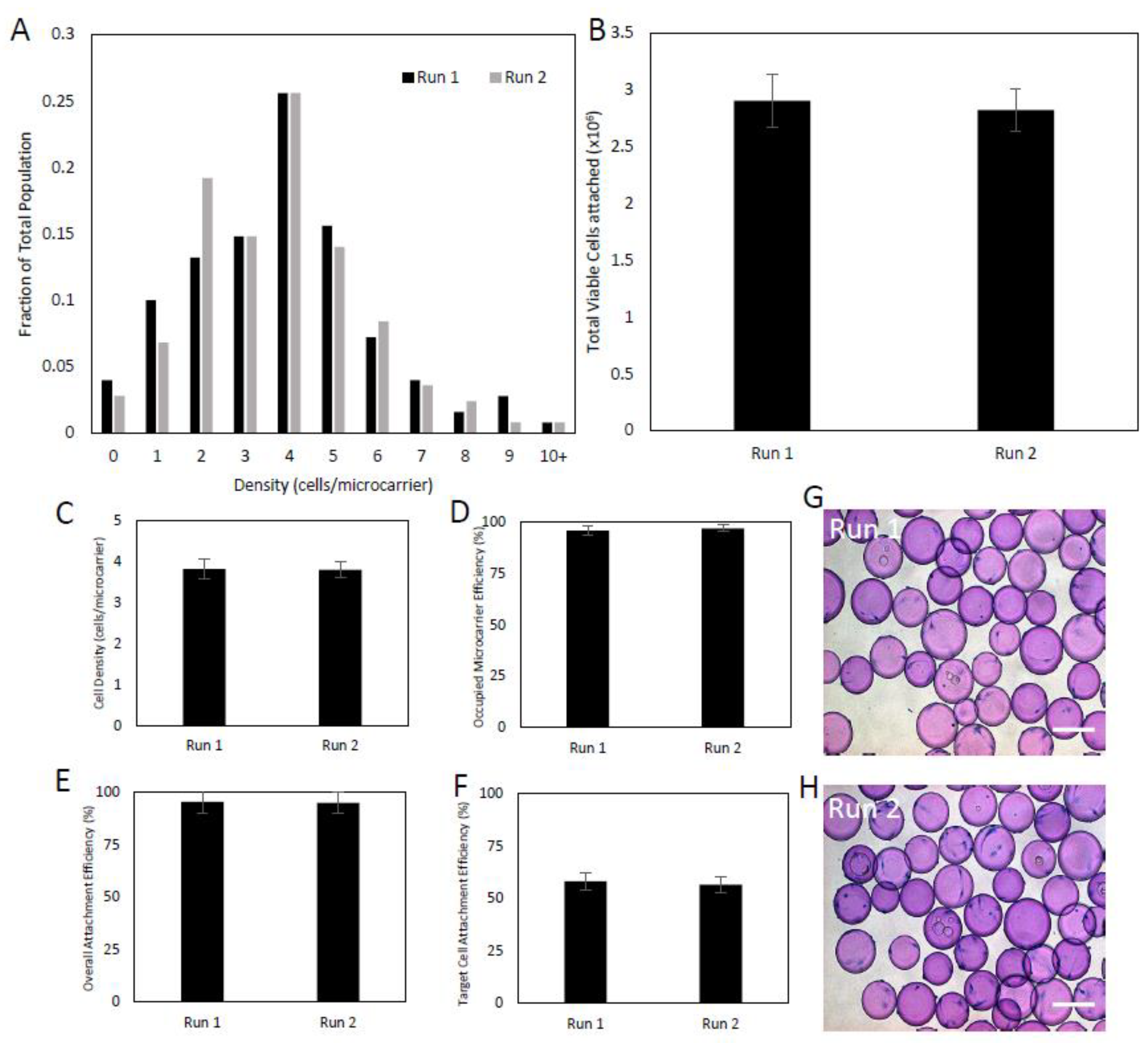 Ijms 24 05152 g002 Ijms 24 05152 g002