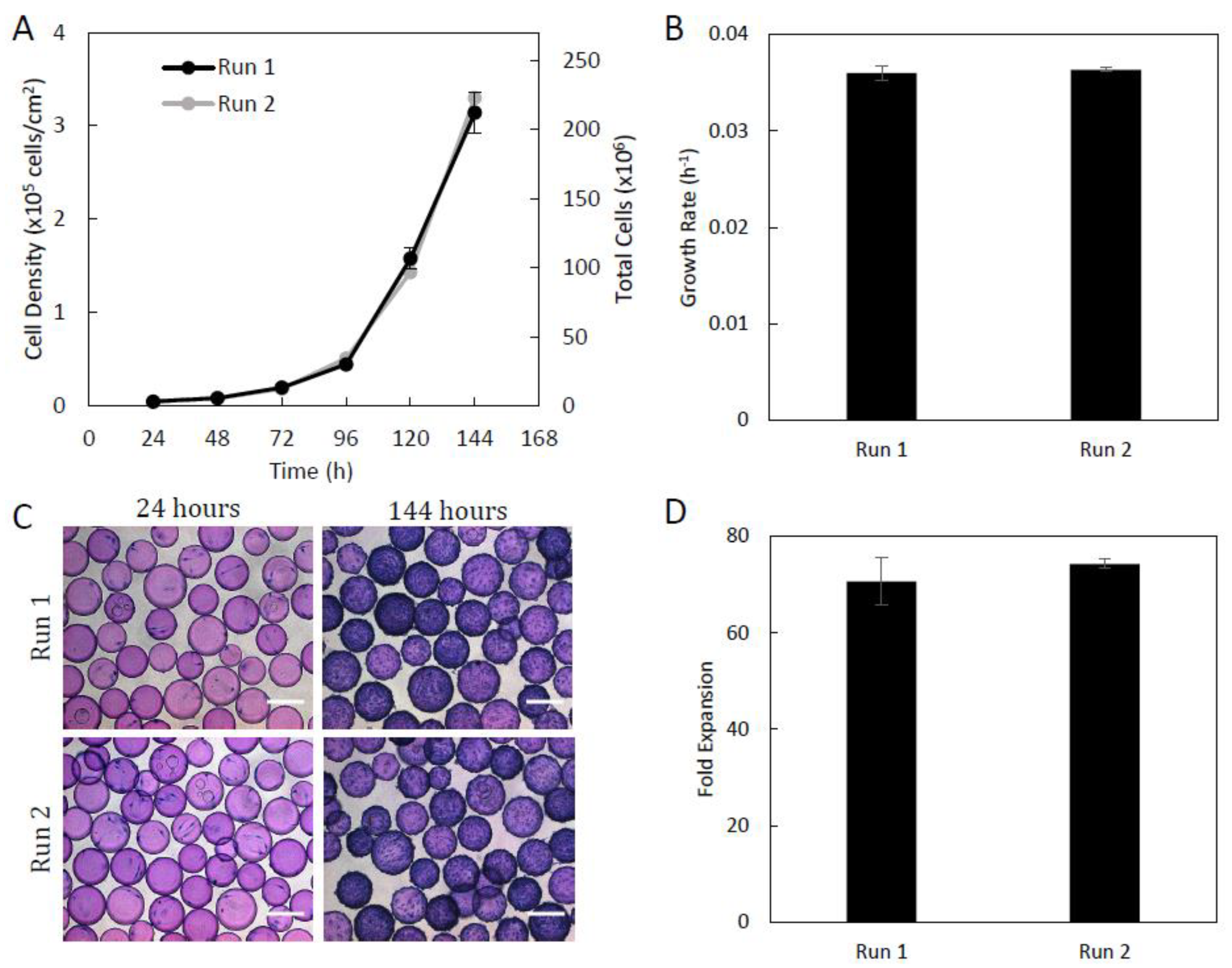 Ijms 24 05152 g003 Ijms 24 05152 g003