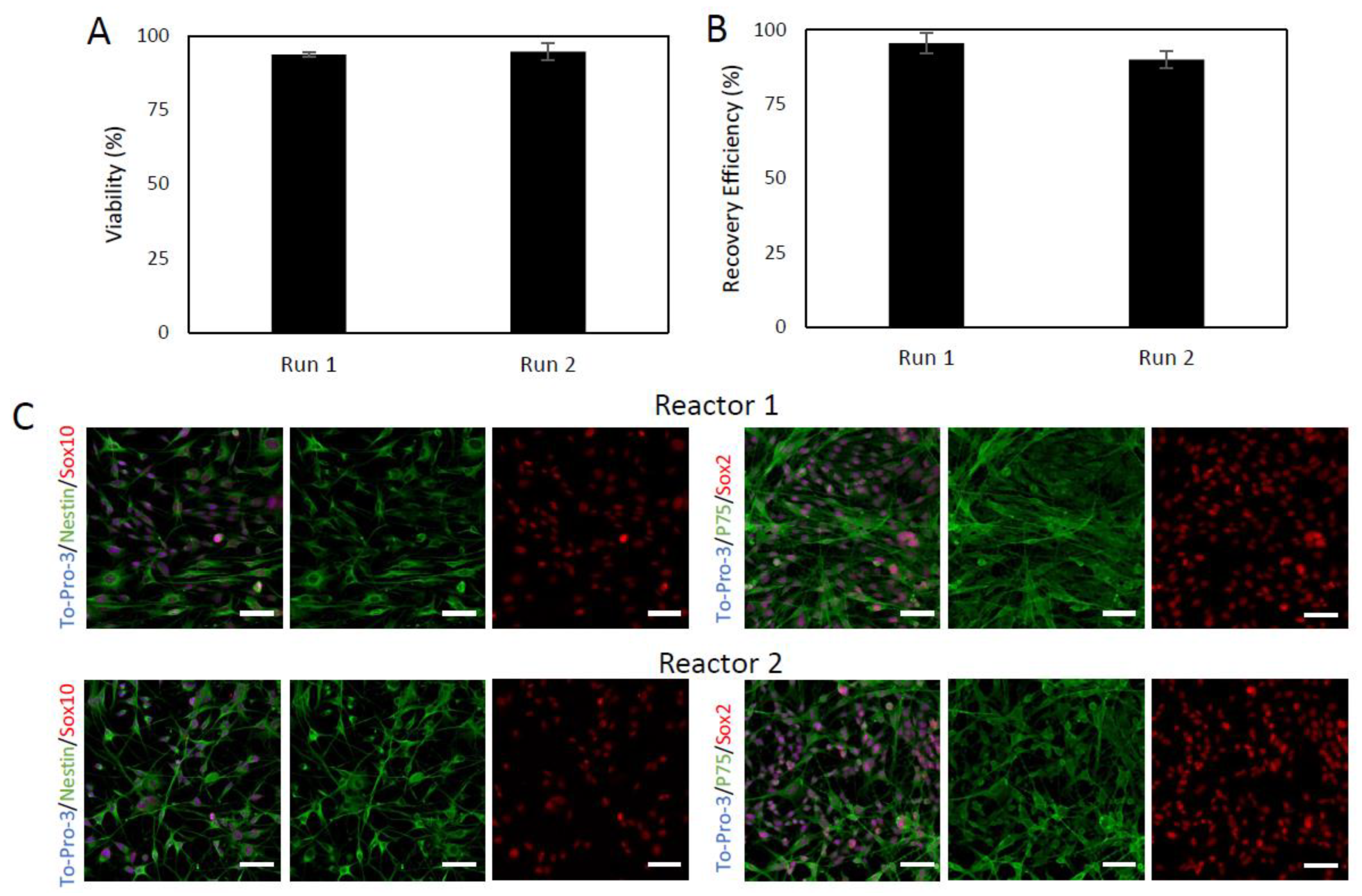 Ijms 24 05152 g006 Ijms 24 05152 g006