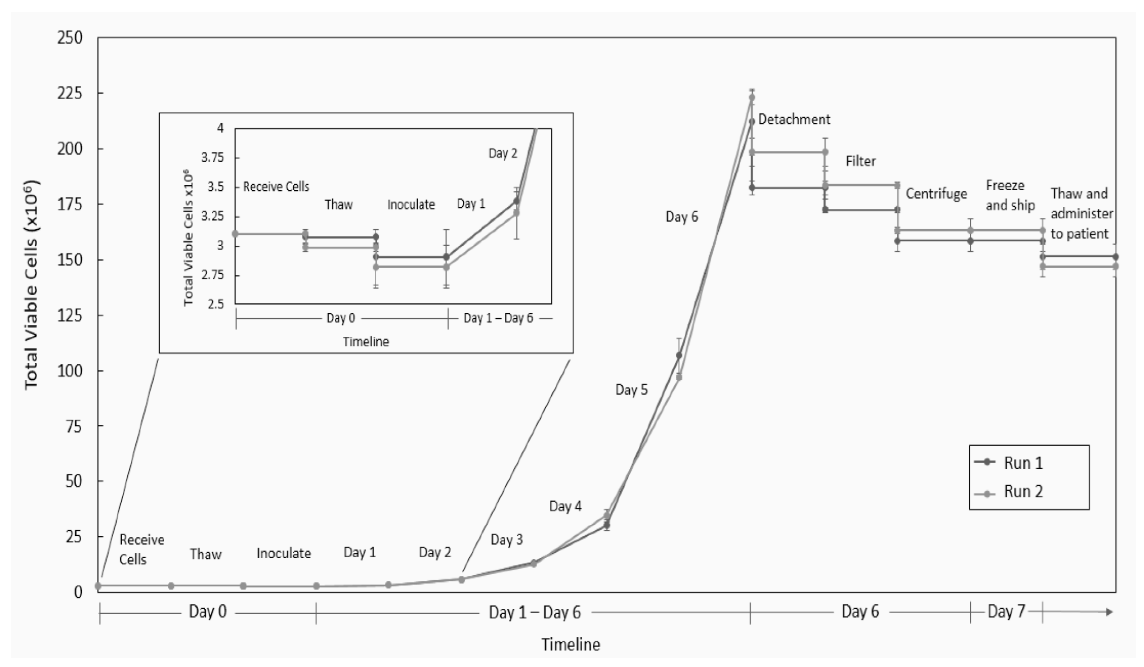 Ijms 24 05152 g007 Ijms 24 05152 g007