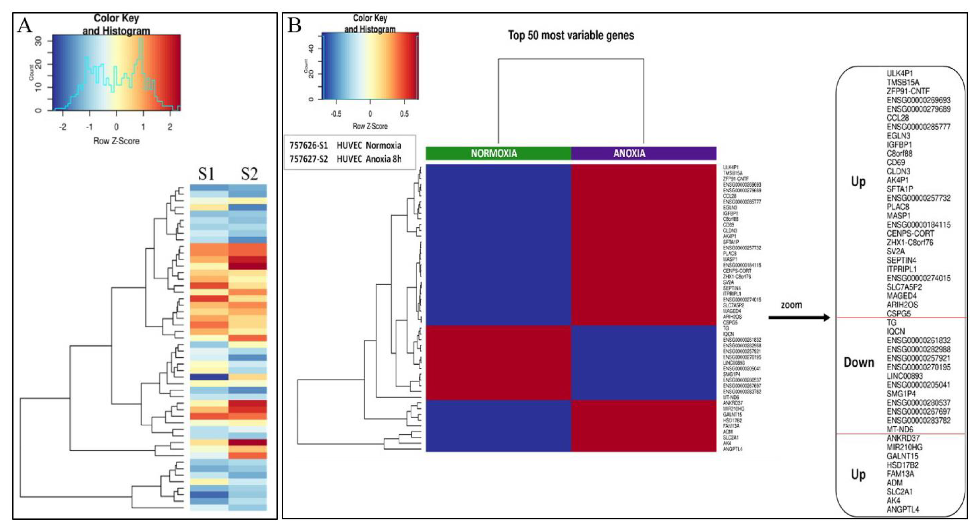 Ijms 24 05157 g003 Ijms 24 05157 g003