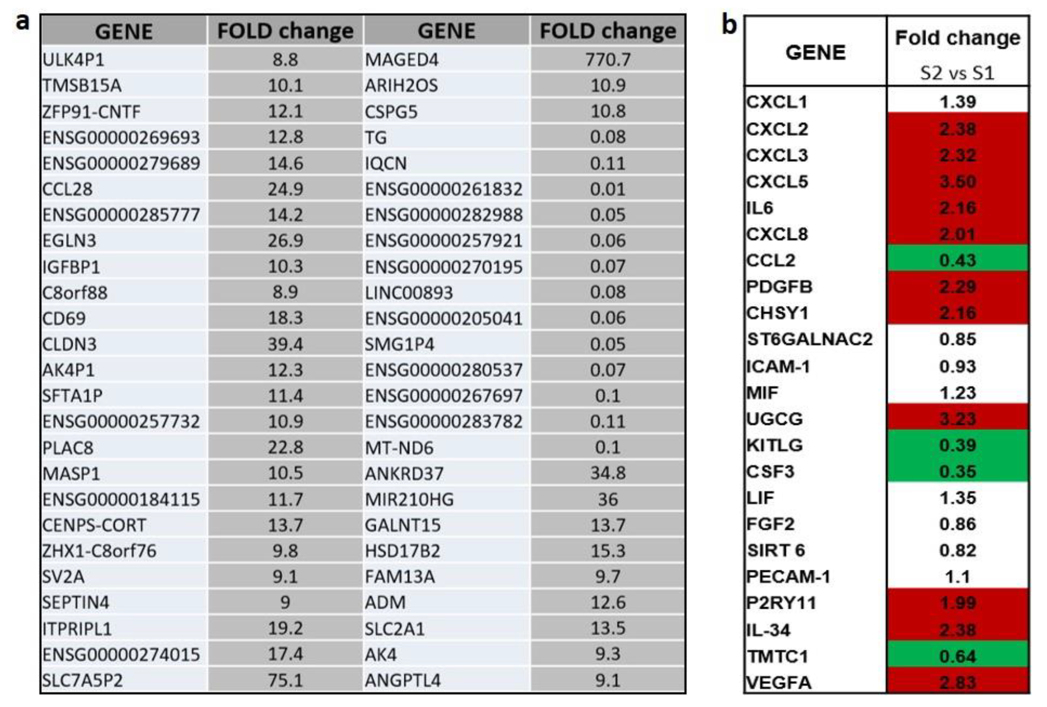 Ijms 24 05157 g004 Ijms 24 05157 g004