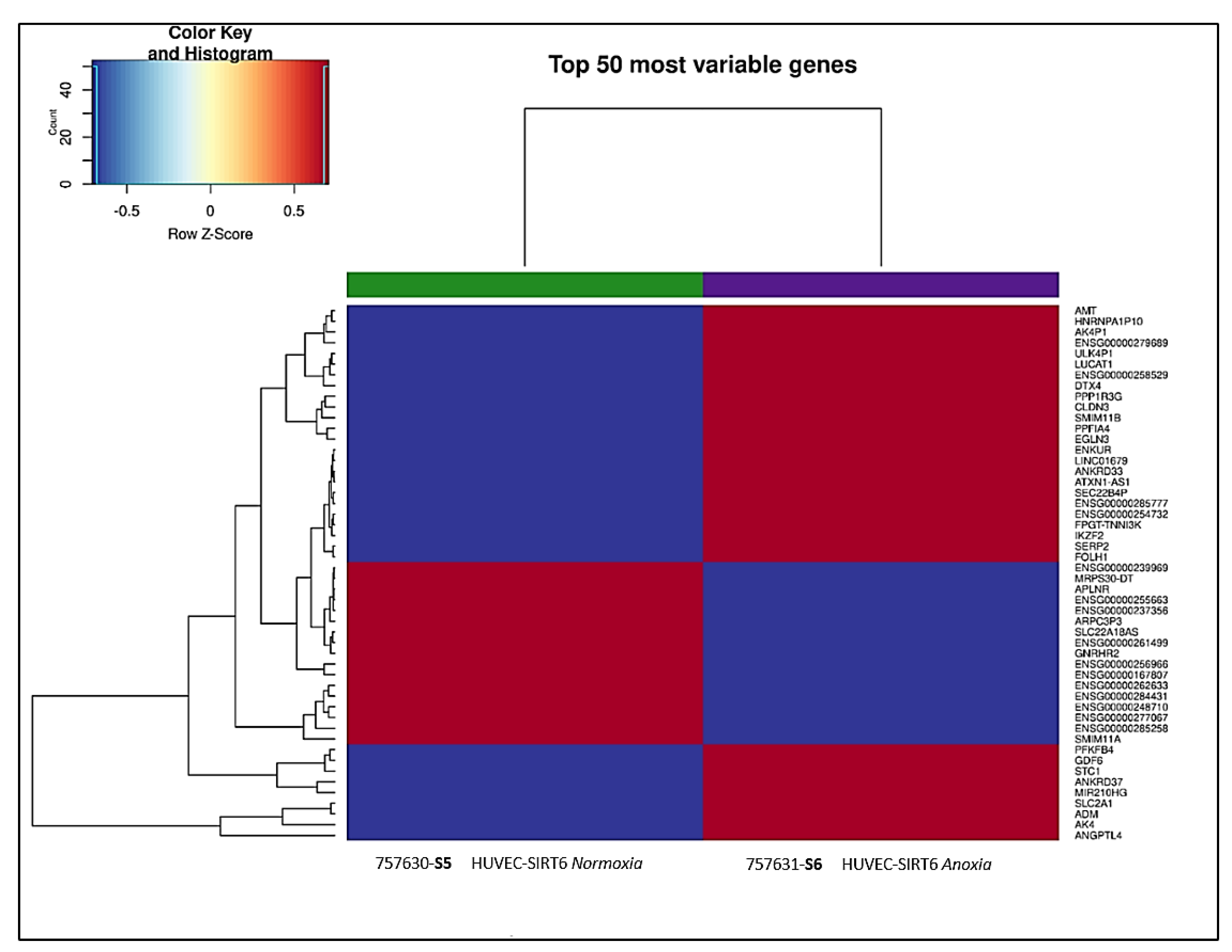 Ijms 24 05157 g010 Ijms 24 05157 g010